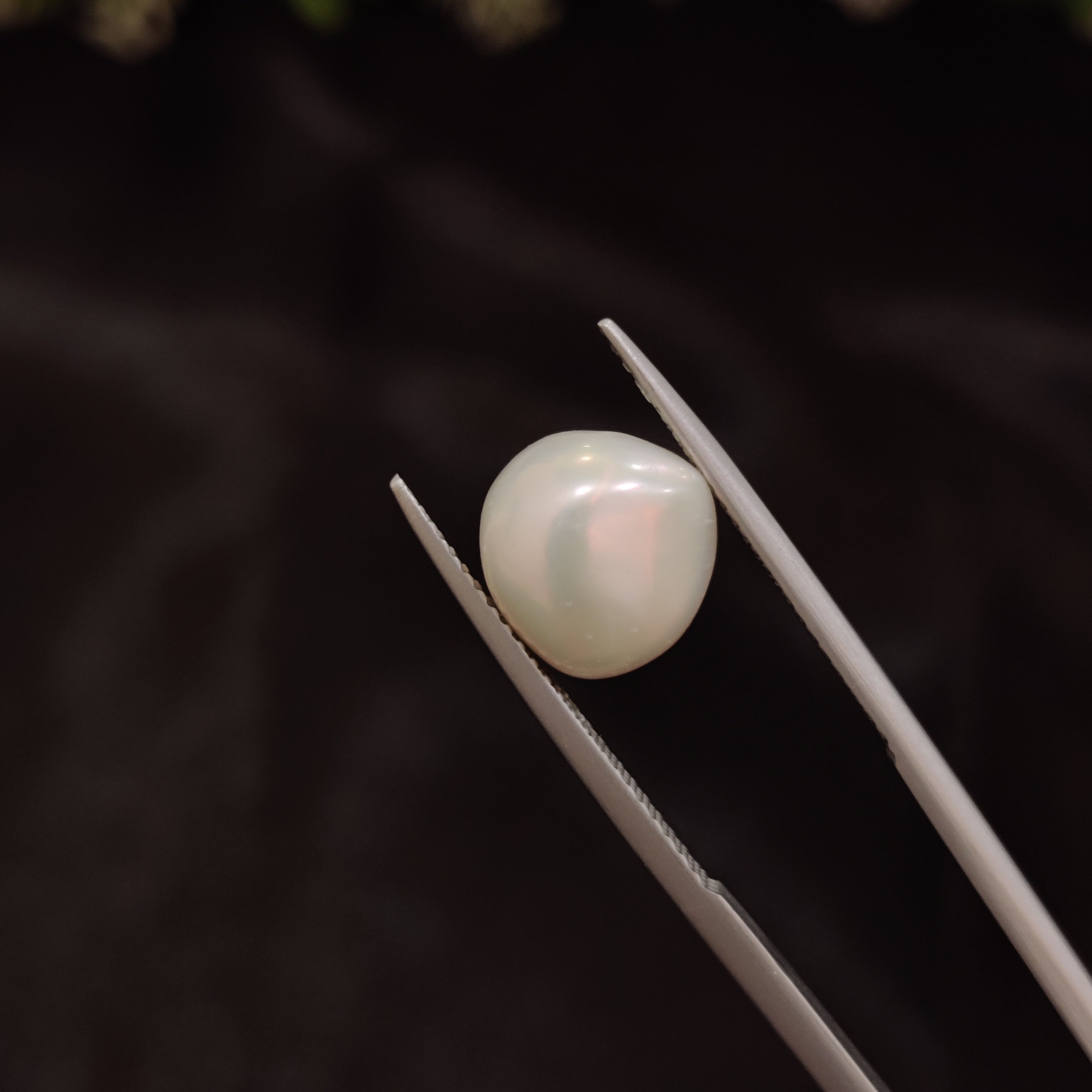 Pearl | Pearl 234 | 4.34 Carat