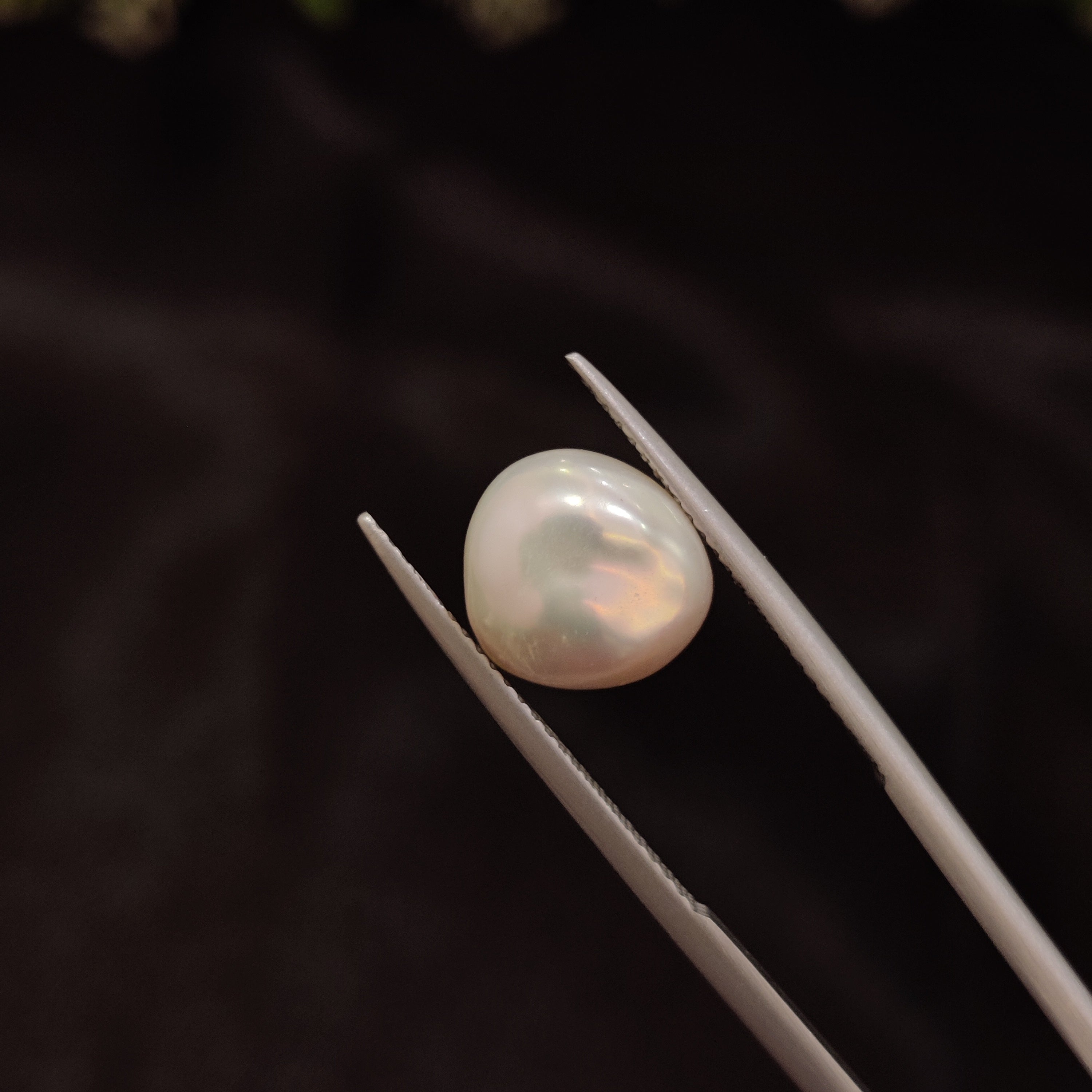 Pearl | Pearl 234 | 4.34 Carat