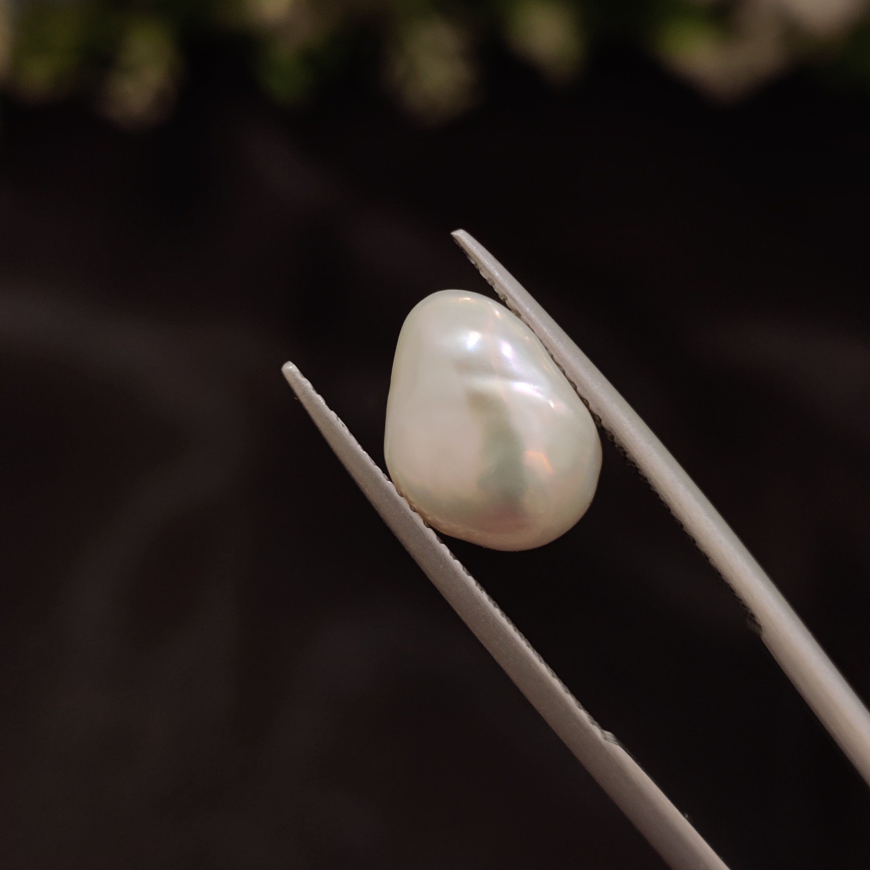 Pearl | Pearl 246 | 4.86 Carat