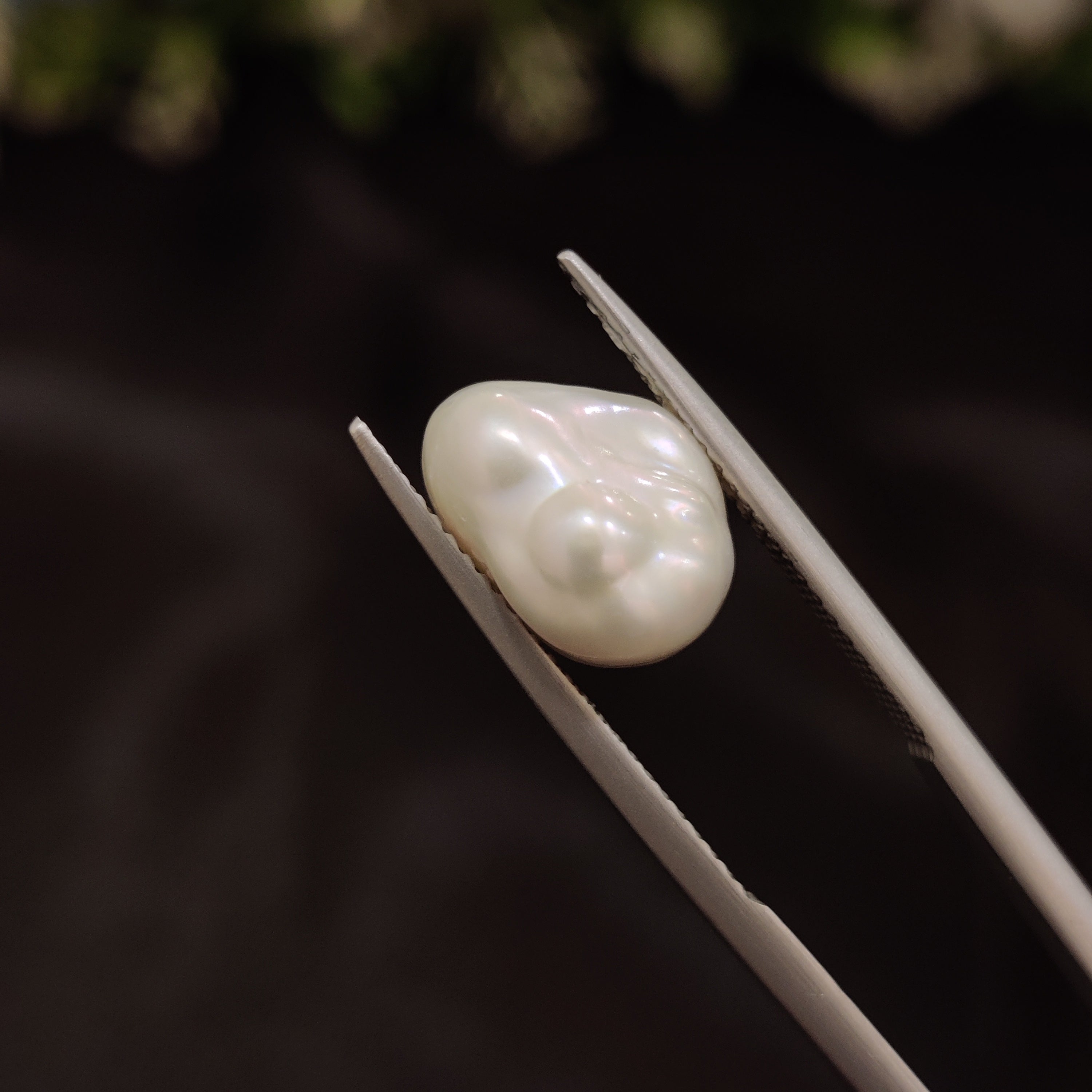 Pearl | Pearl 246 | 4.86 Carat