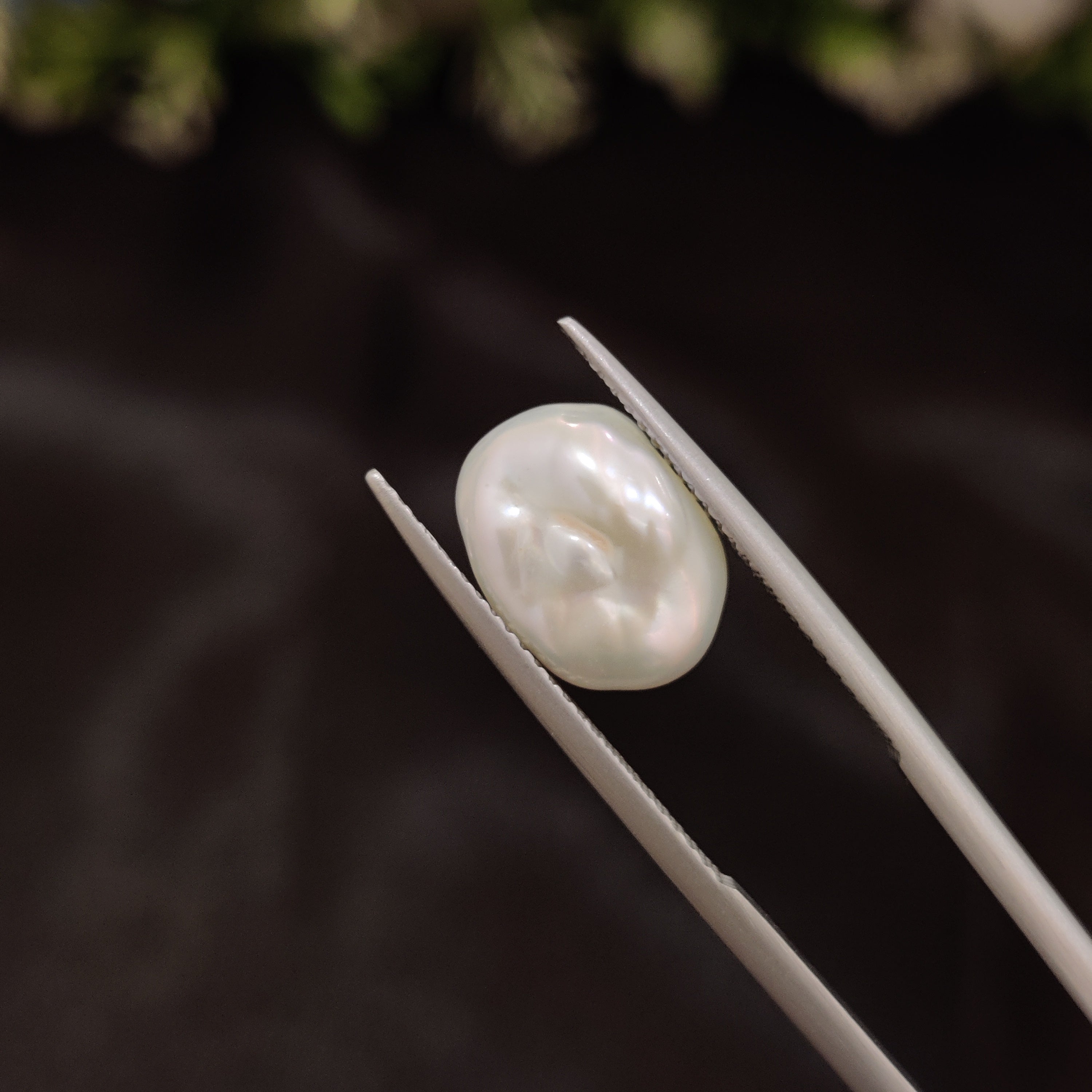 Pearl | Pearl 229 | 5.35 Carat