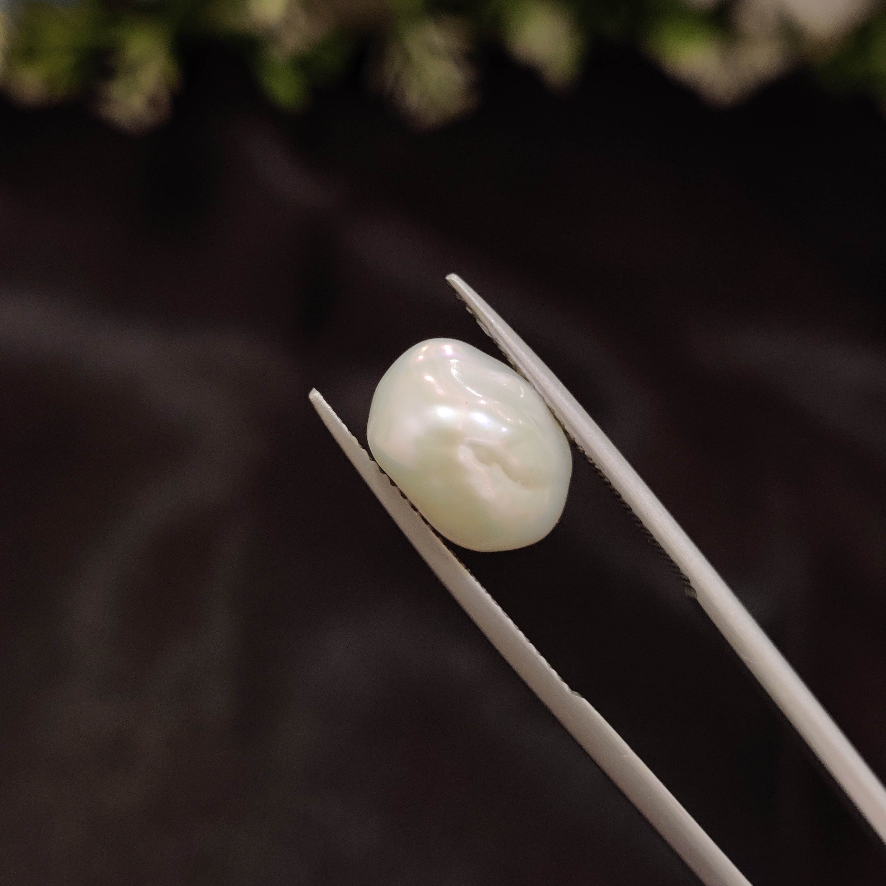 Pearl | Pearl 229 | 5.35 Carat