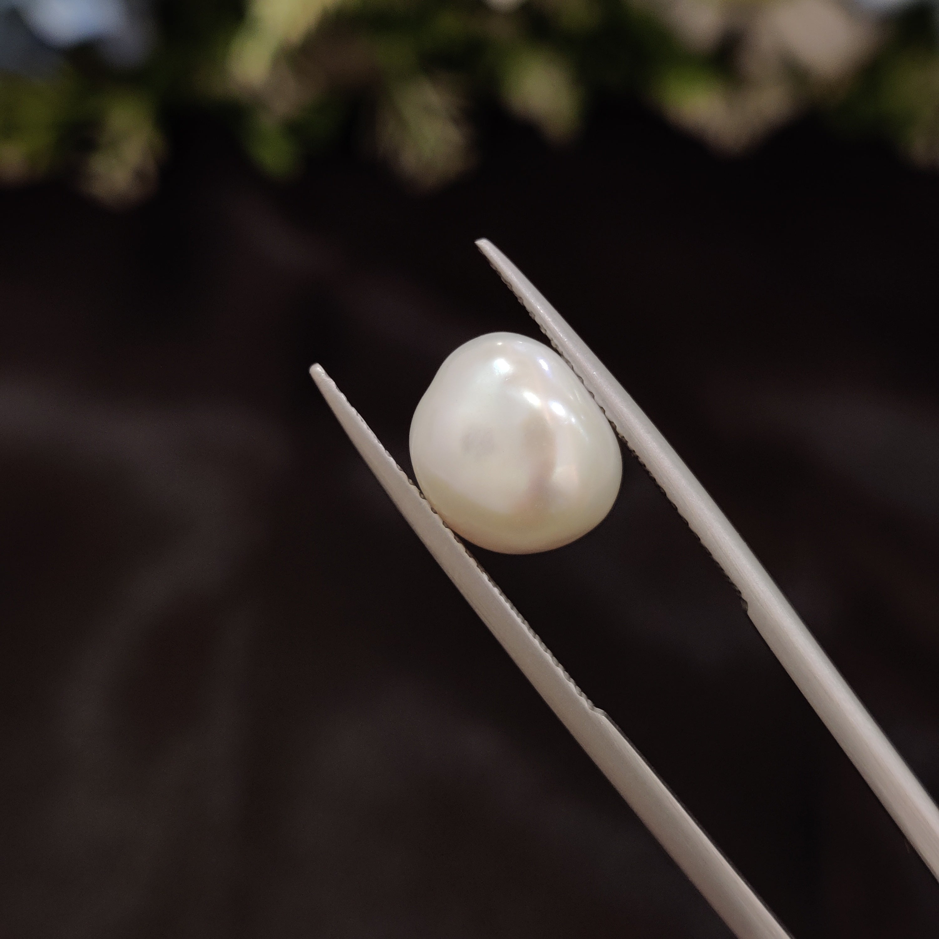 Pearl | Pearl 238 | 4.85 Carat