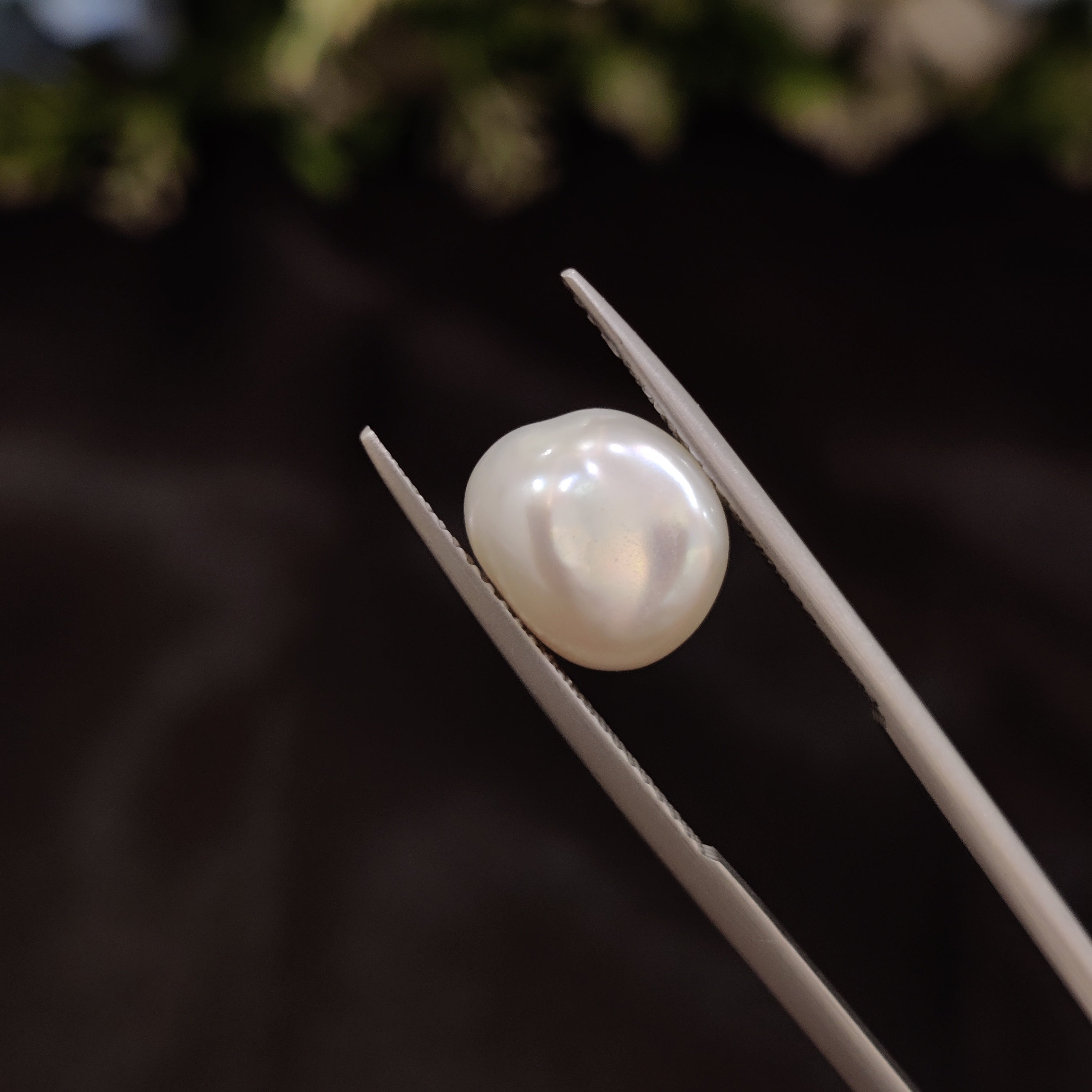 Pearl | Pearl 238 | 4.85 Carat