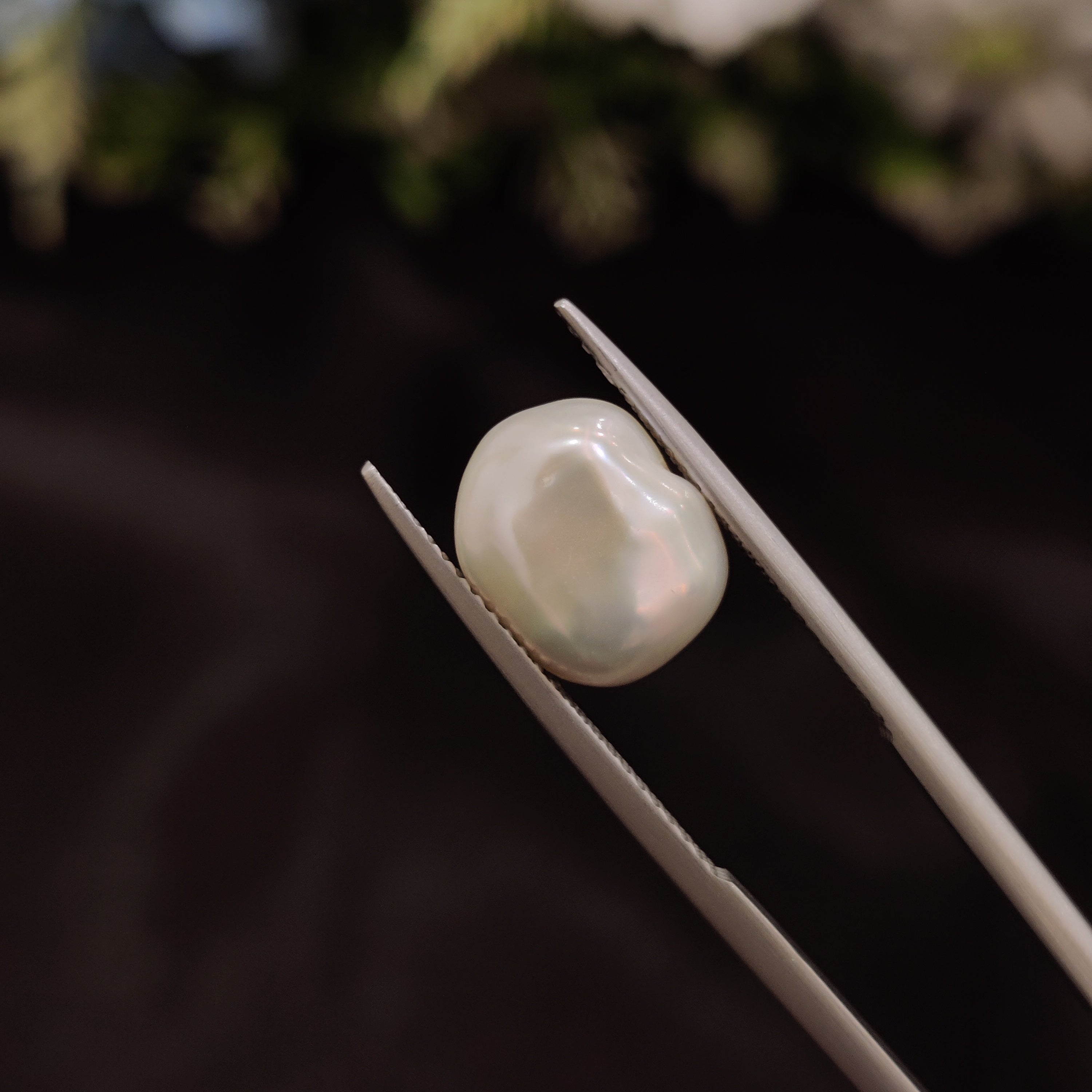 Pearl | Pearl 245 | 4.78 Carat