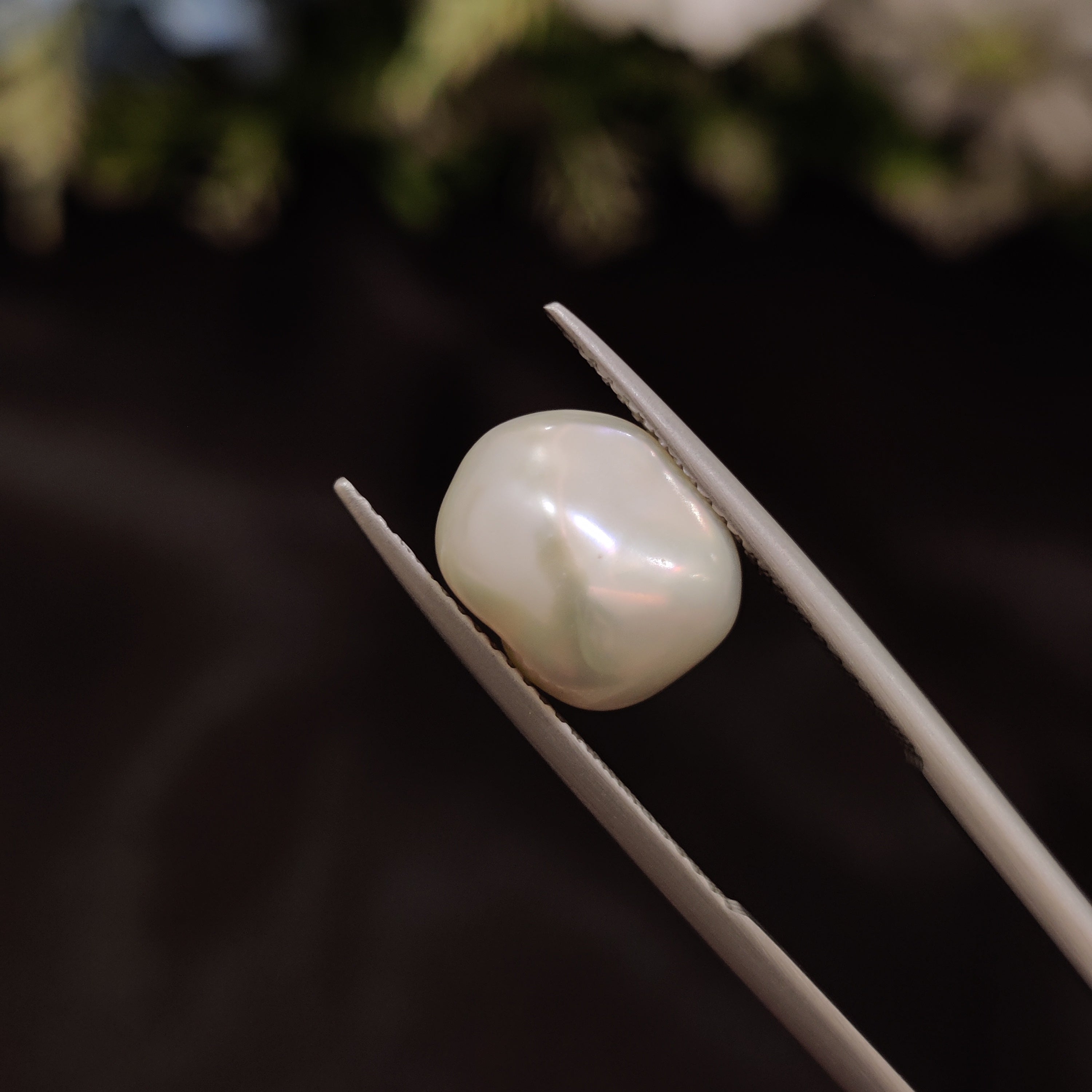 Pearl | Pearl 245 | 4.78 Carat