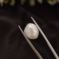Pearl | Pearl 268 | 5.1 Carat