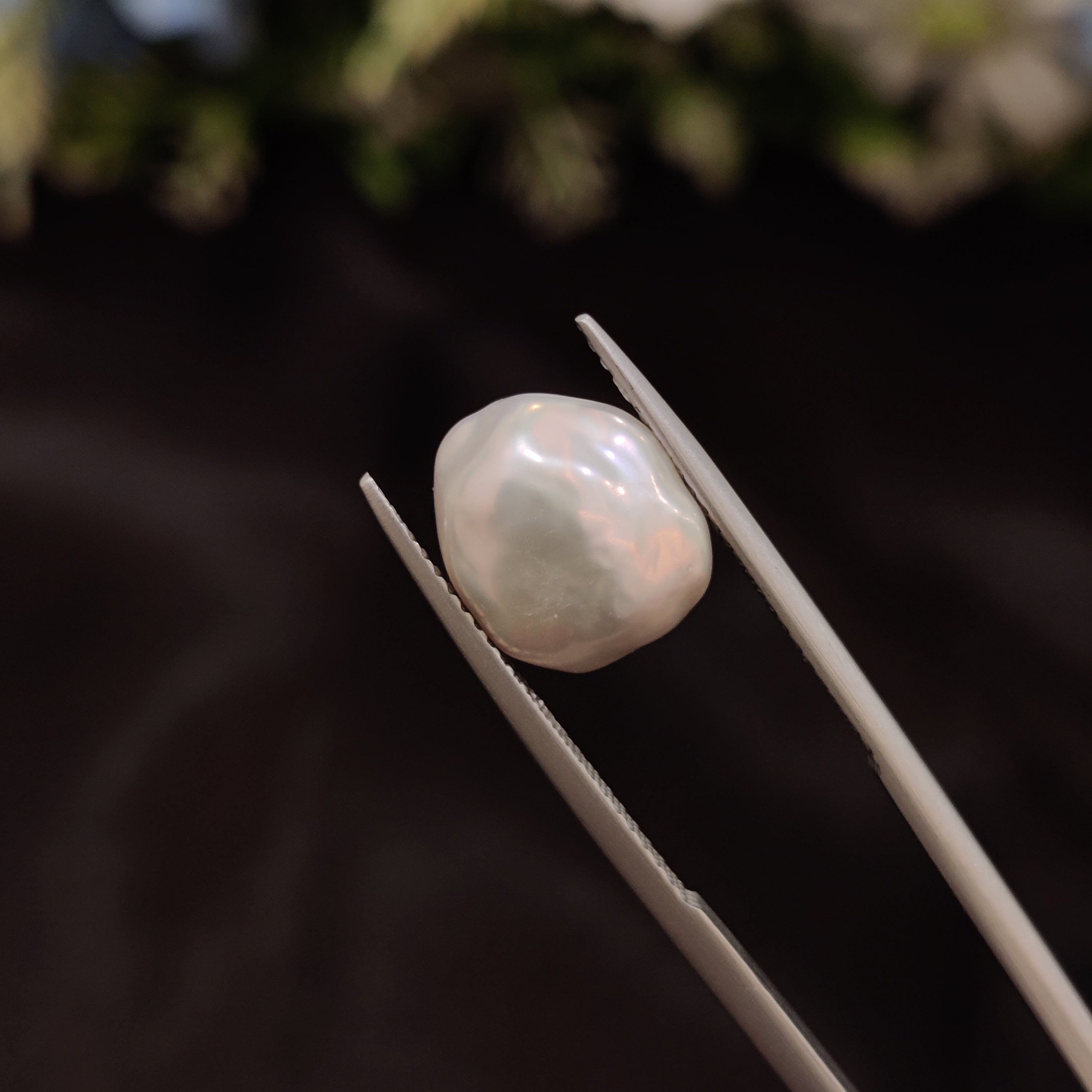 Pearl | Pearl 226 | 4.84 Carat