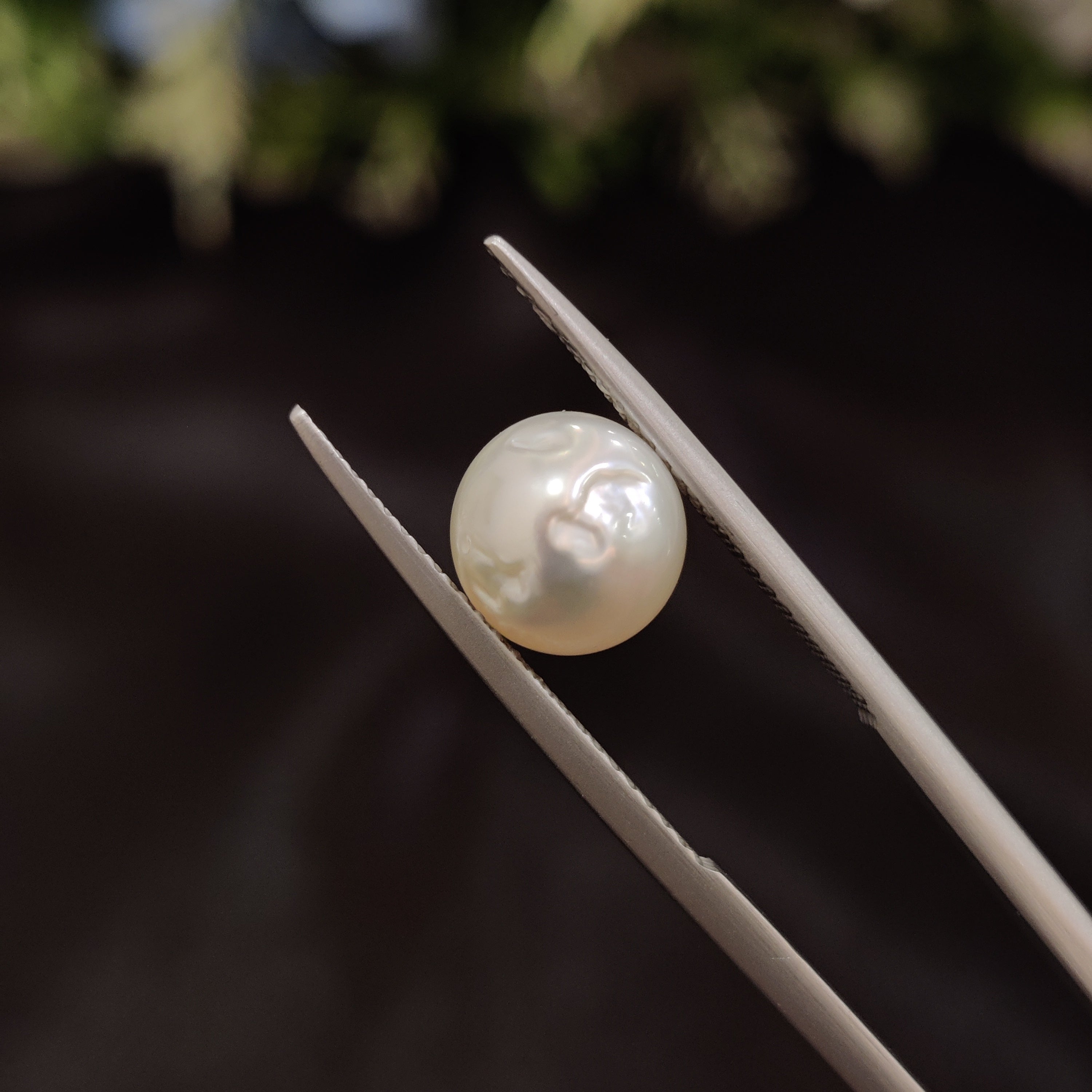 Pearl | Pearl 81 | 3.71 Carat