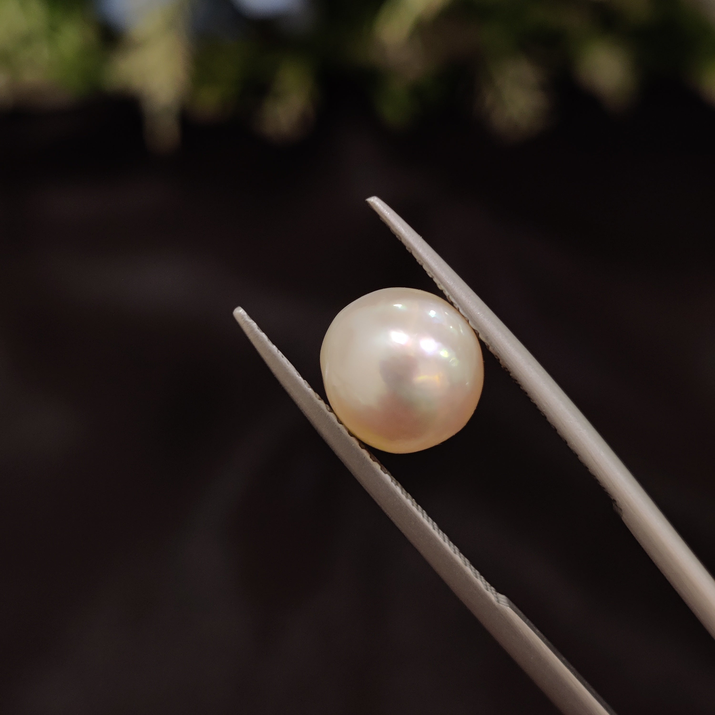 Pearl | Pearl 80 | 4.58 Carat