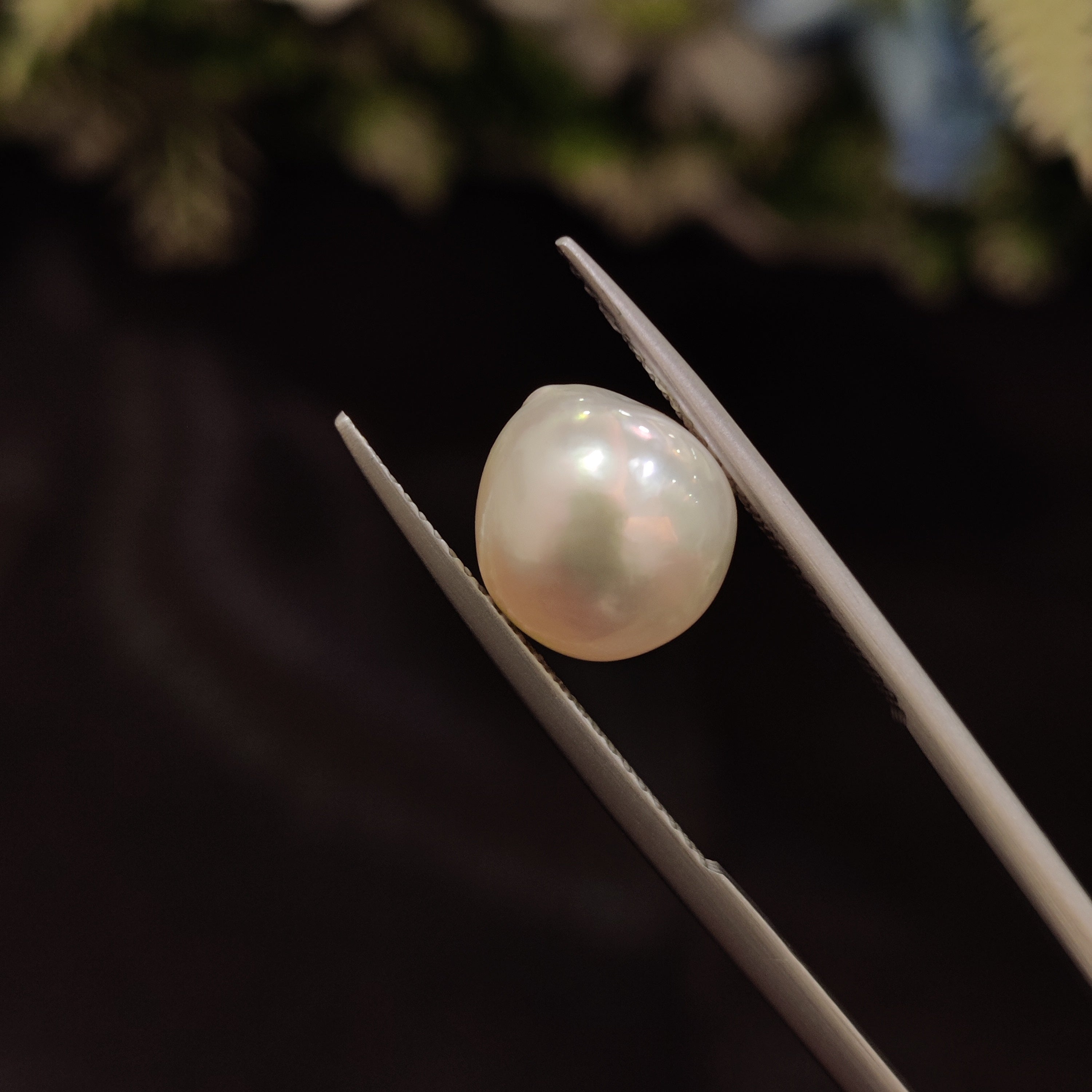 Pearl | Pearl 33 | 6.09 Carat
