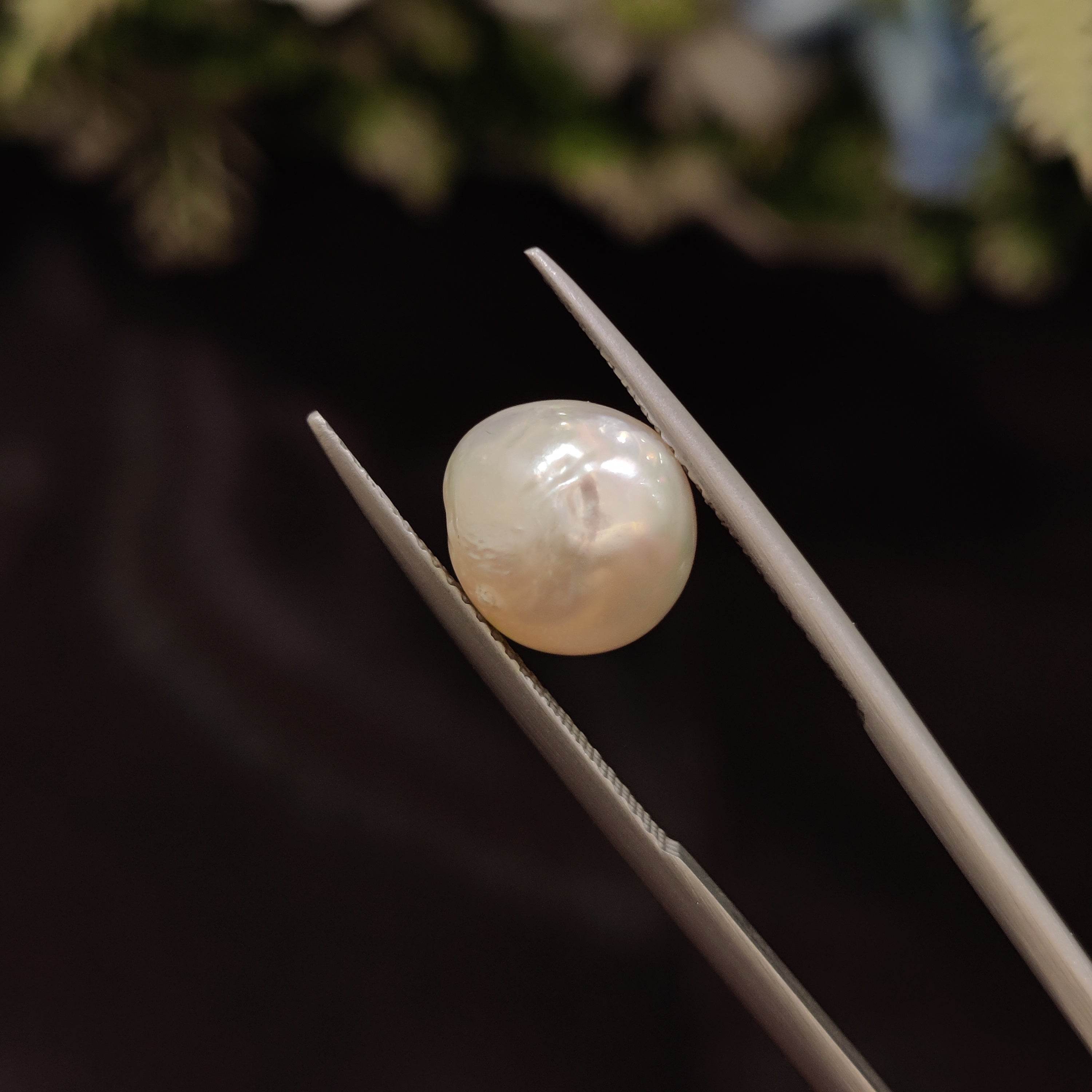 Pearl | Pearl 33 | 6.09 Carat