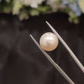 Pearl | Pearl 109 | 5.93 Carat