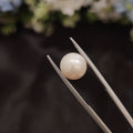 Pearl | Pearl 108 | 4.79 Carat