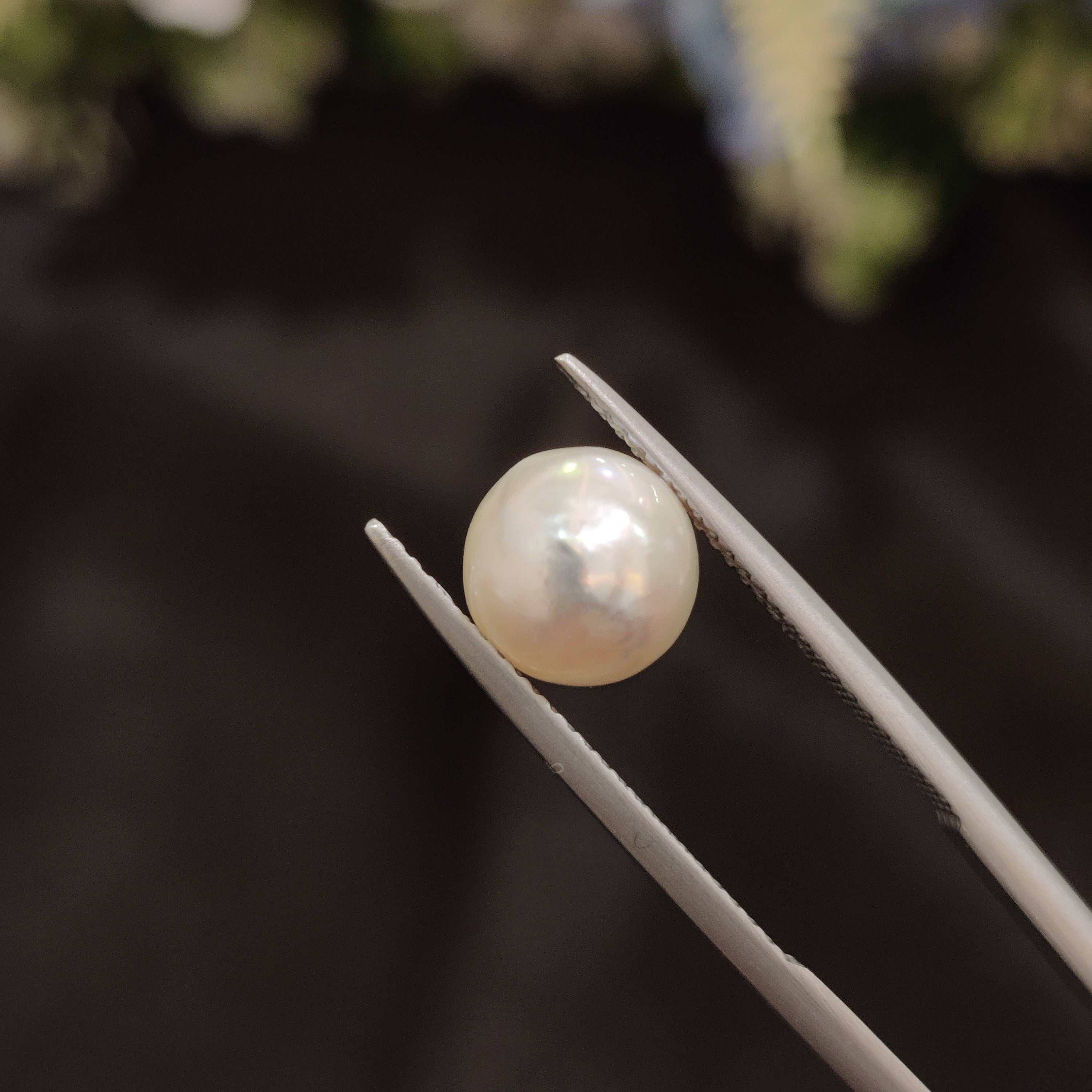 Pearl | Pearl 84 | 3.98 Carat