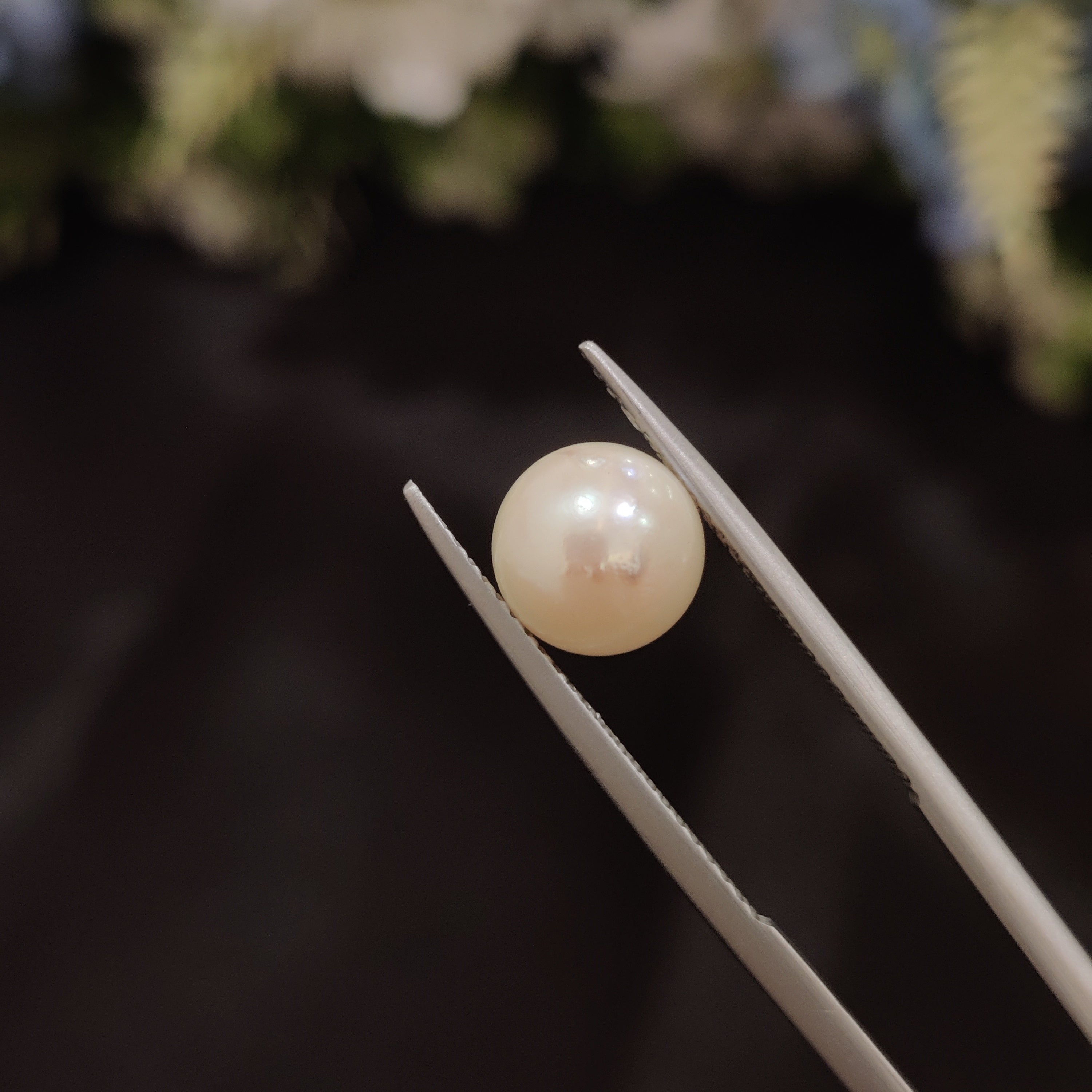 Pearl | Pearl 89 | 3.79 Carat