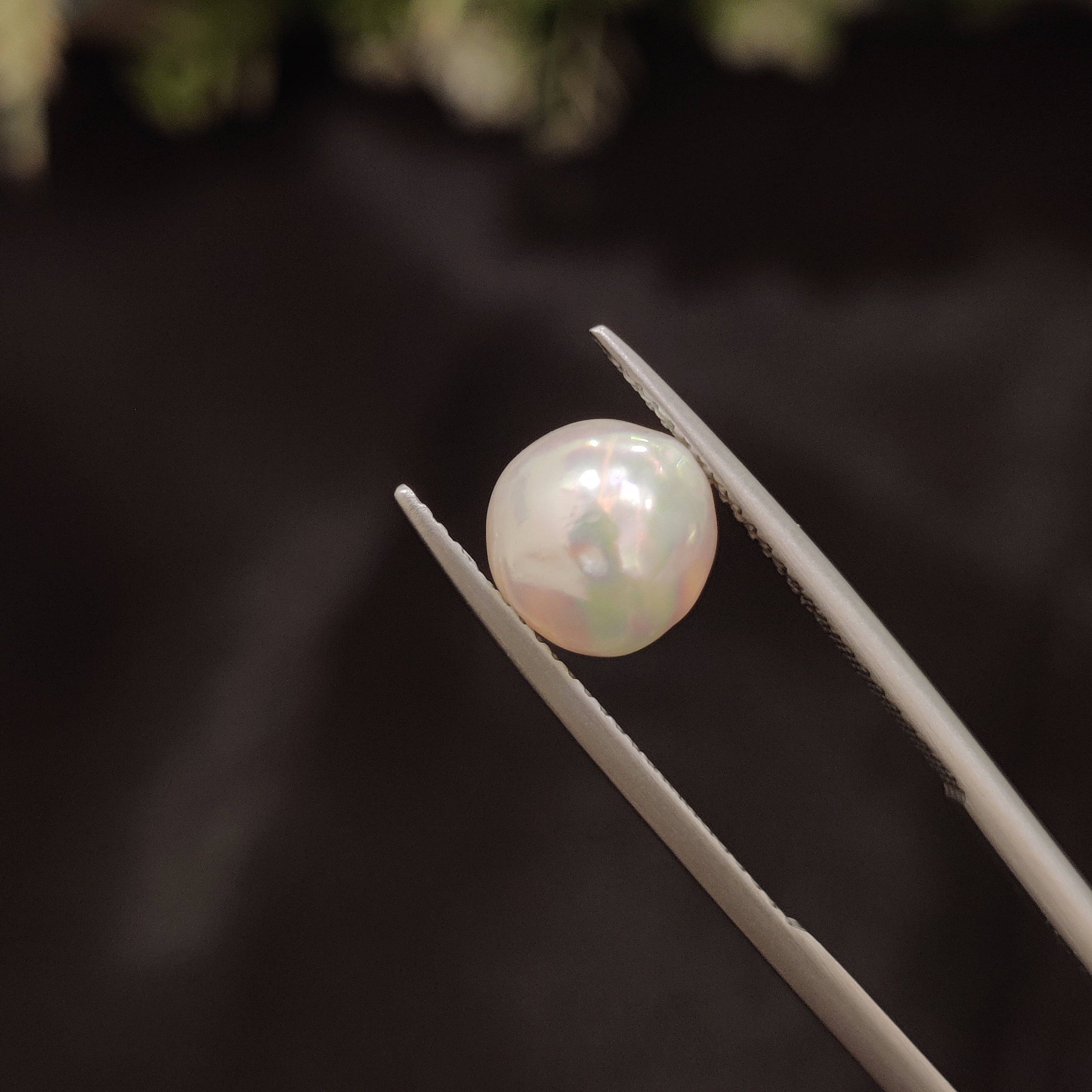 Pearl | Pearl 69 | 4.19 Carat
