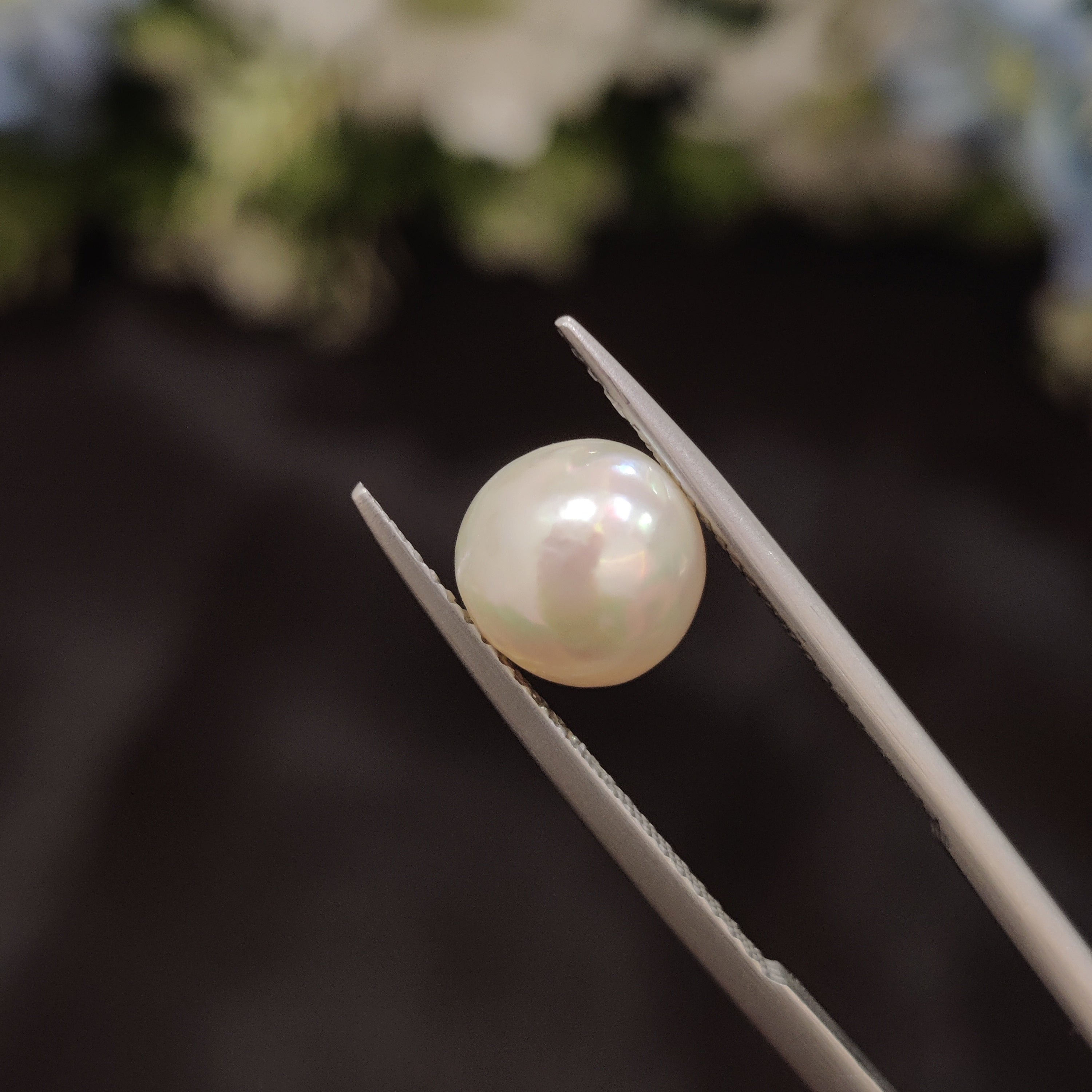 Pearl | Pearl 87 | 3.65 Carat