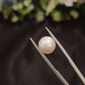 Pearl | Pearl 110 | 5.14 Carat