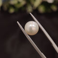 Pearl | Pearl 61 | 3.66 Carat