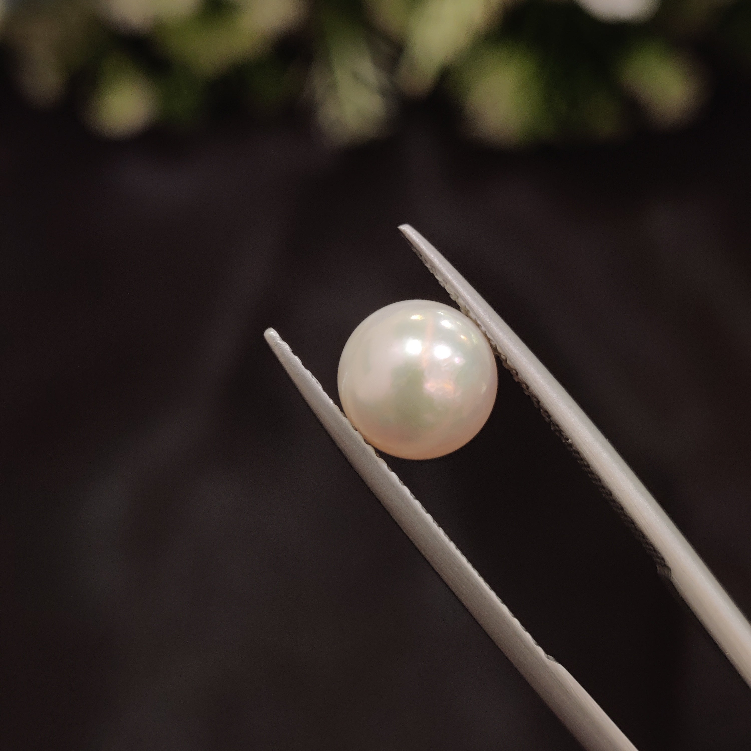 Pearl | Pearl 88 | 3.36 Carat