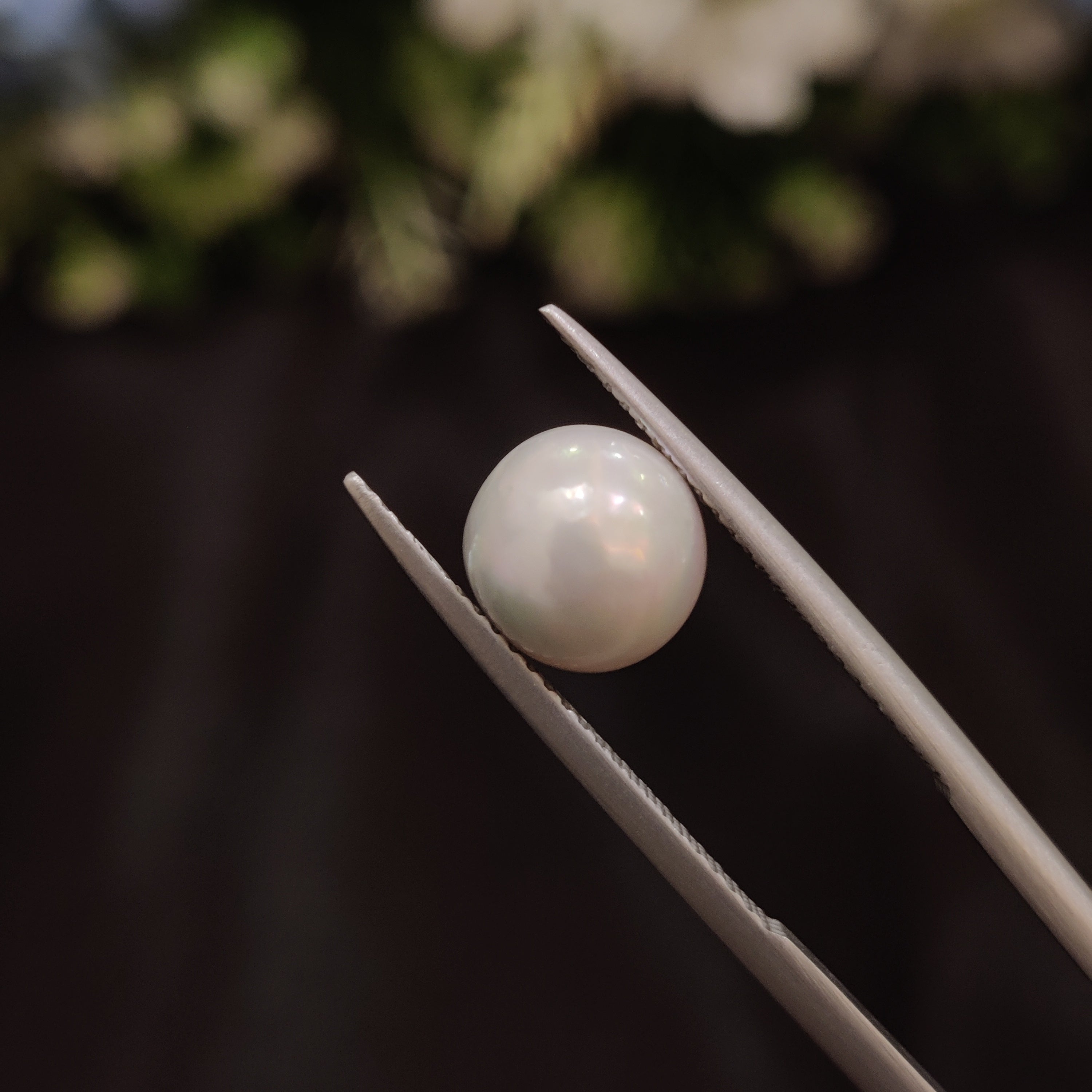 Pearl | Pearl 85 | 3.89 Carat
