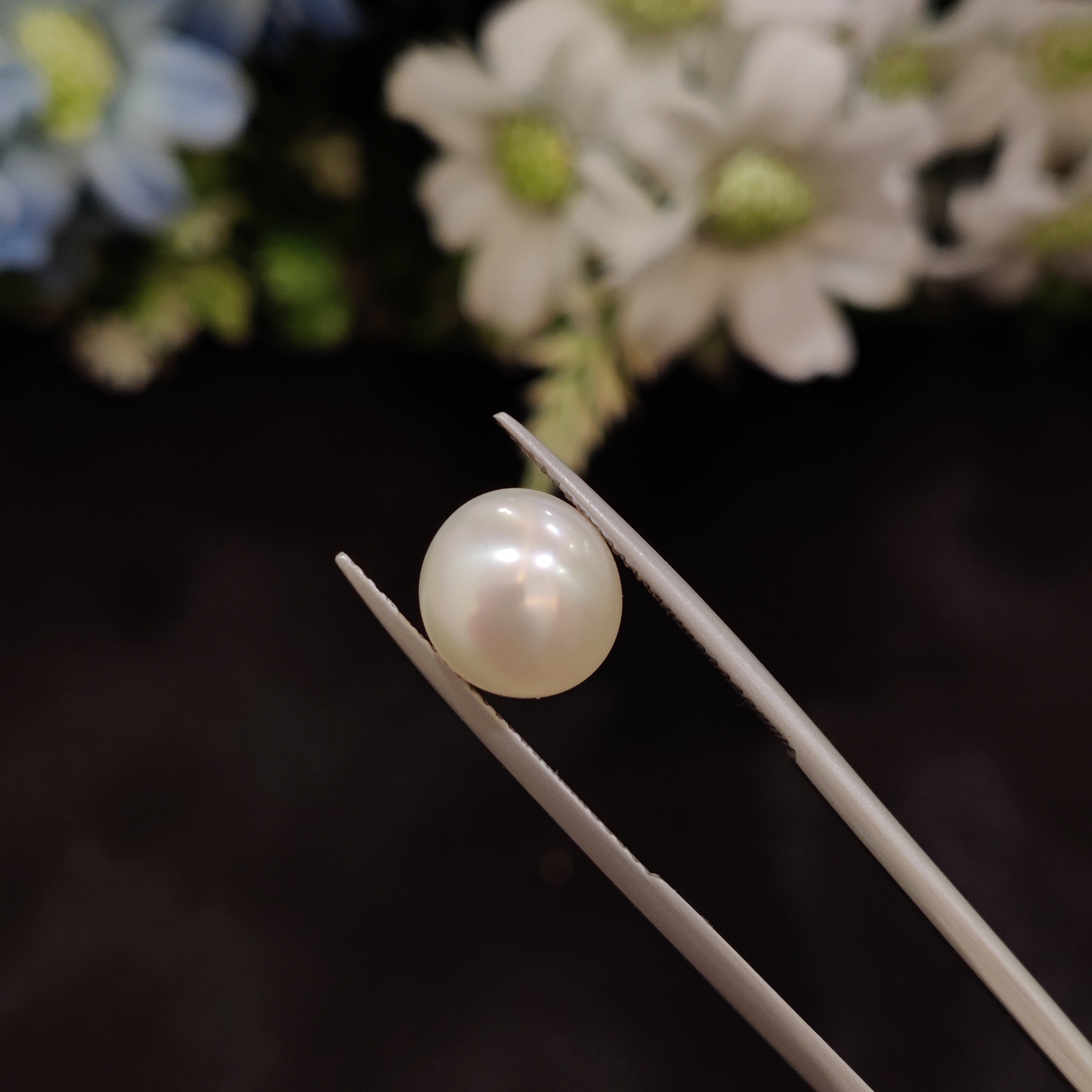 Pearl | Pearl 1 | 4.99 Carat