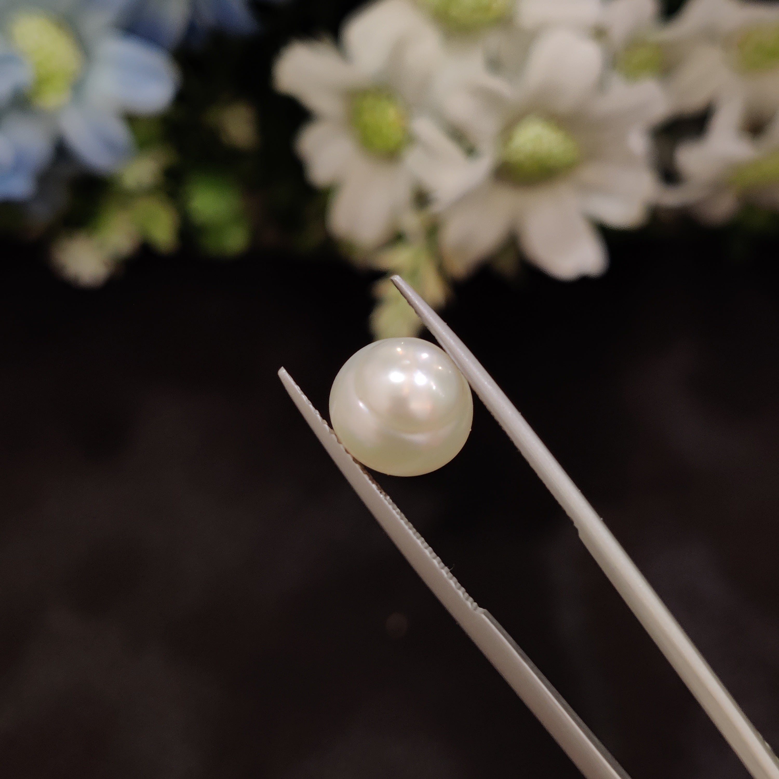 Pearl | Pearl 1 | 4.99 Carat
