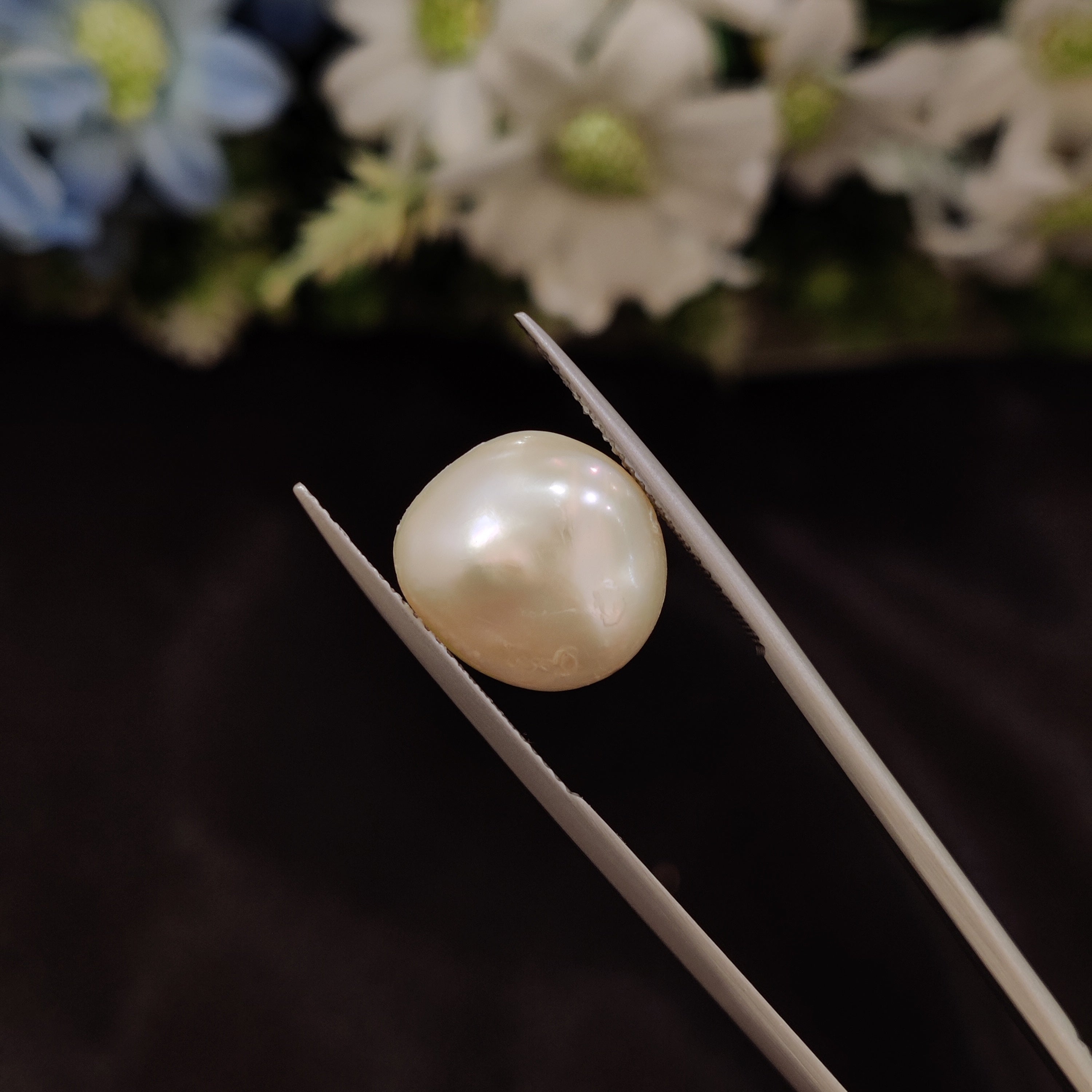 Pearl | Pearl 35 | 9.62 Carat