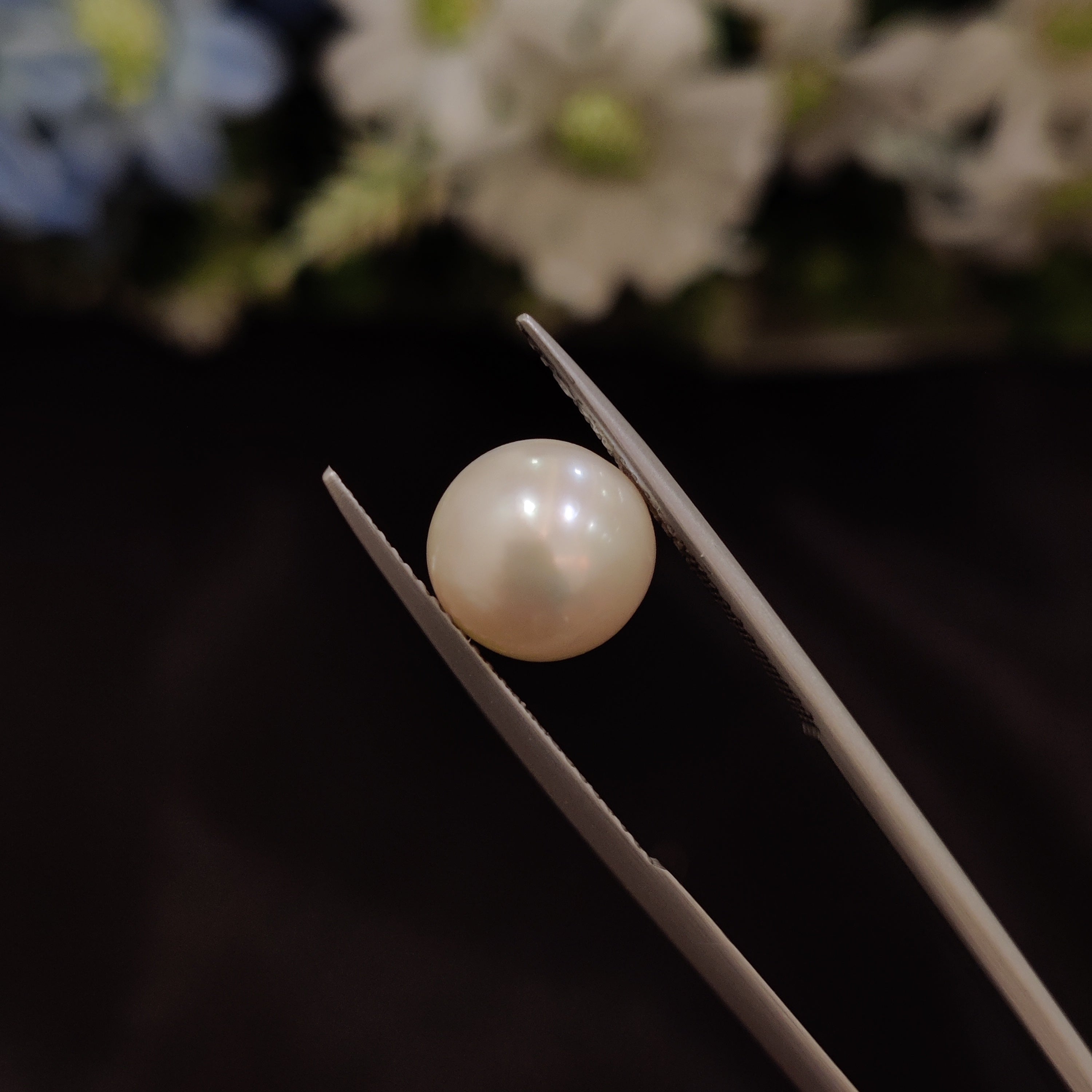 Pearl | Pearl 219 | 5.6 Carat