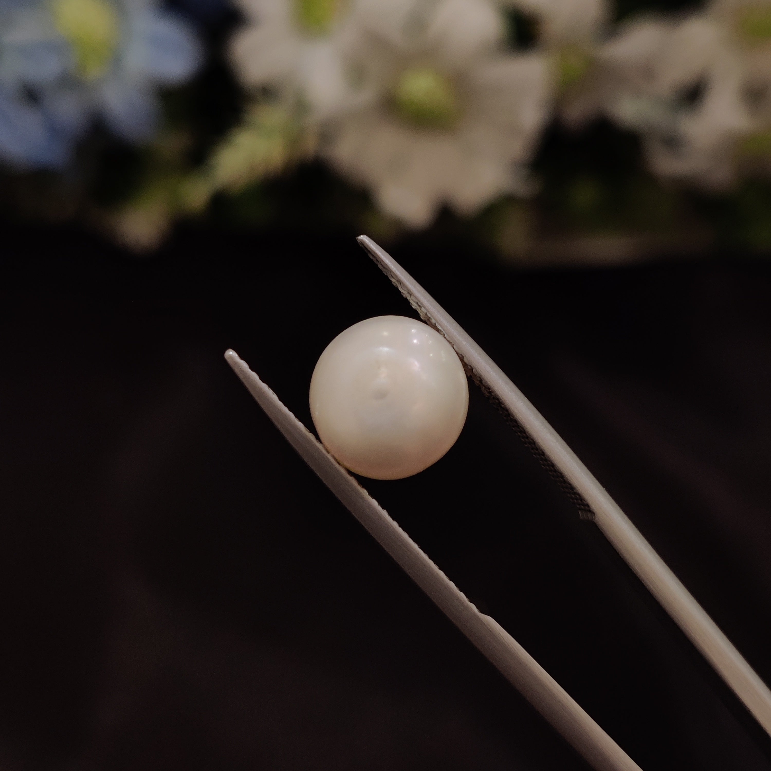 Pearl | Pearl 219 | 5.6 Carat