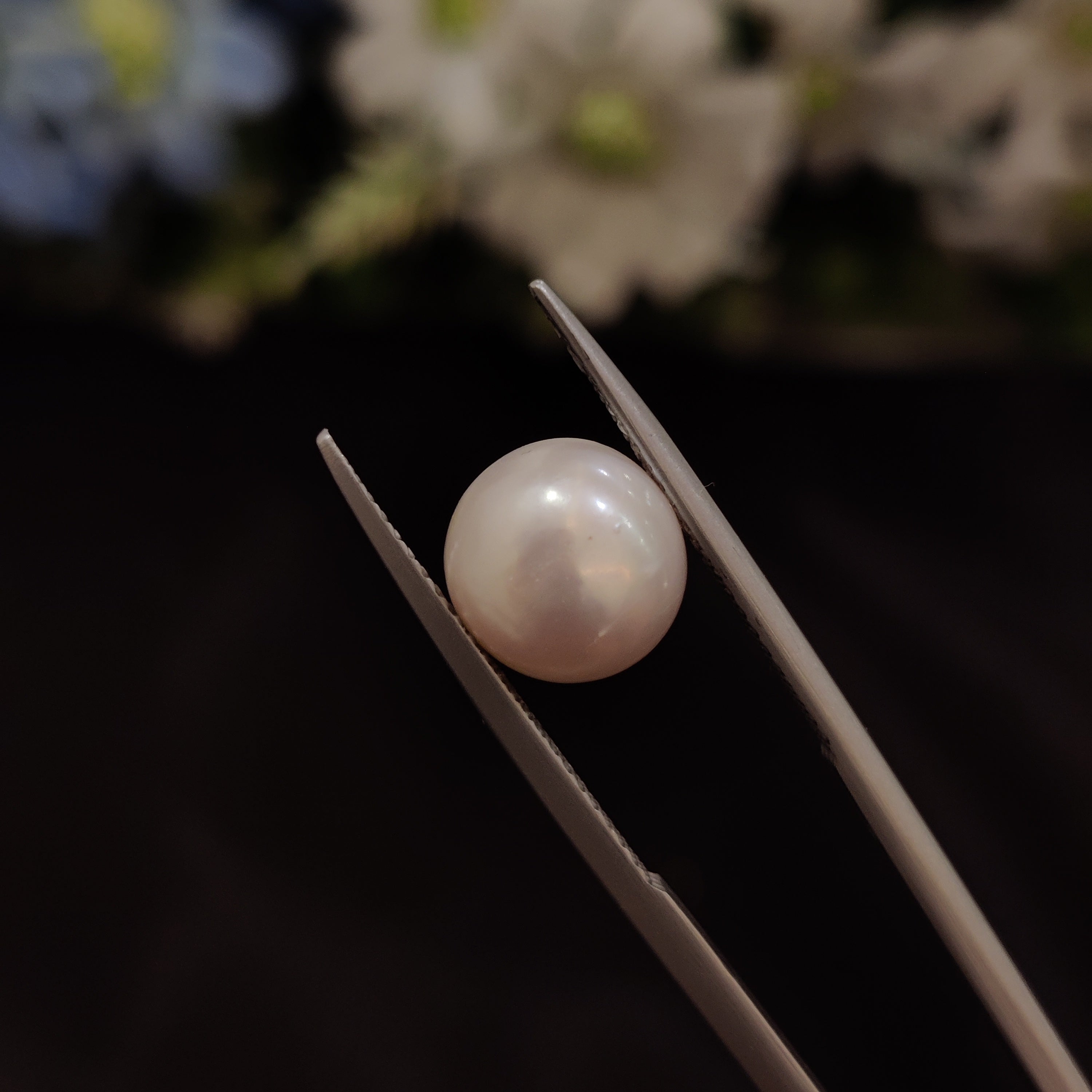 Pearl | Pearl 206 | 4.71 Carat