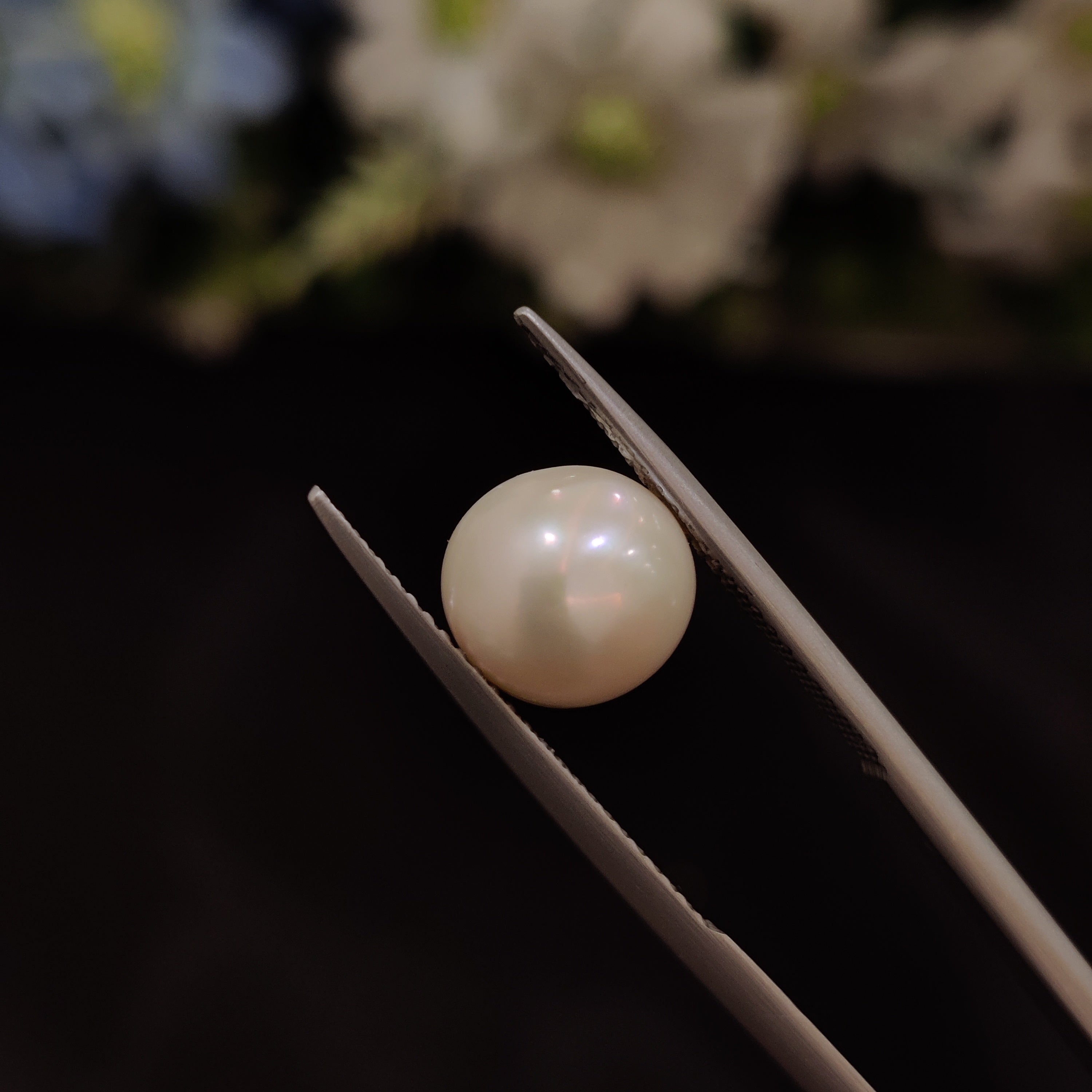 Pearl | Pearl 214 | 4.75 Carat