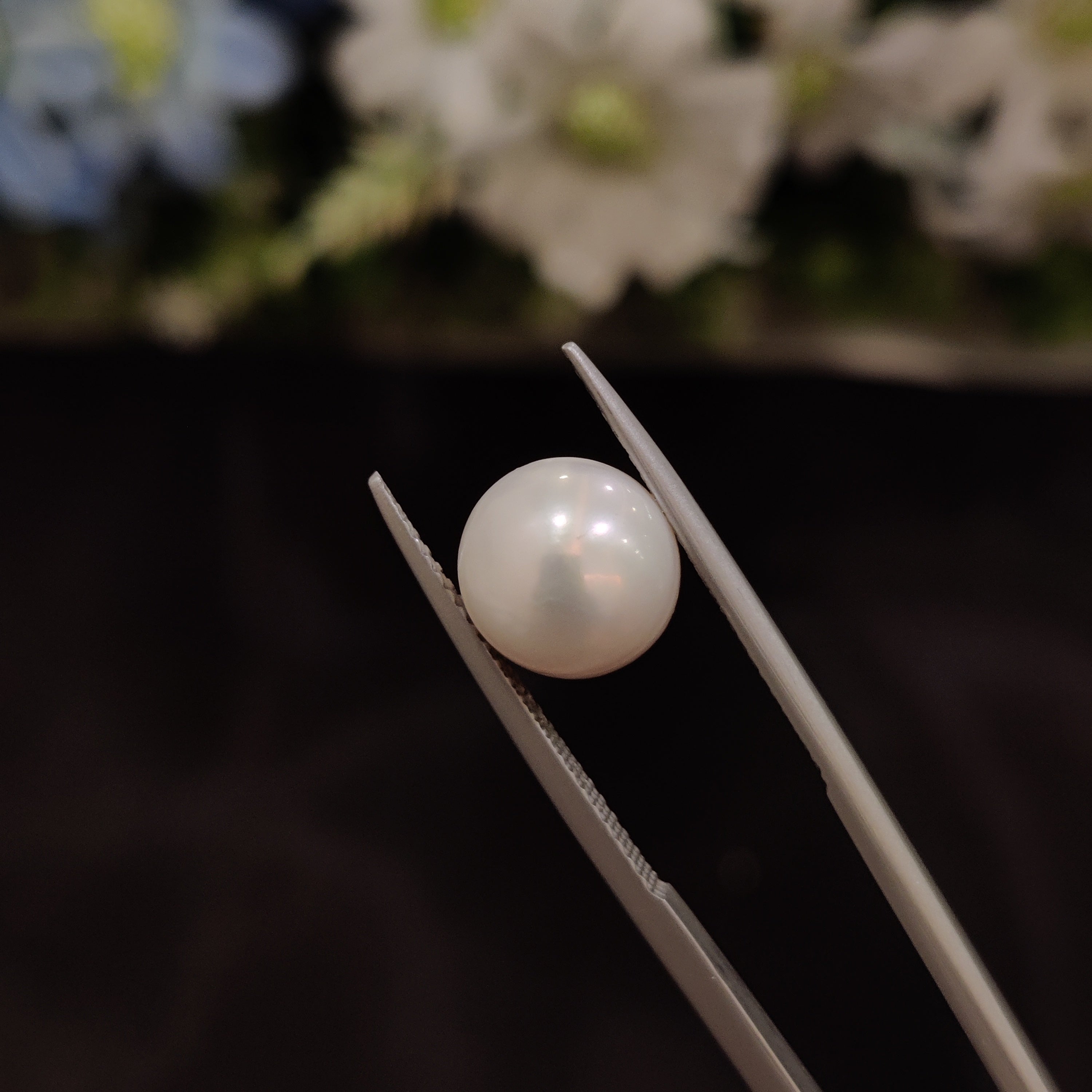 Pearl | Pearl 187 | 6.24 Carat
