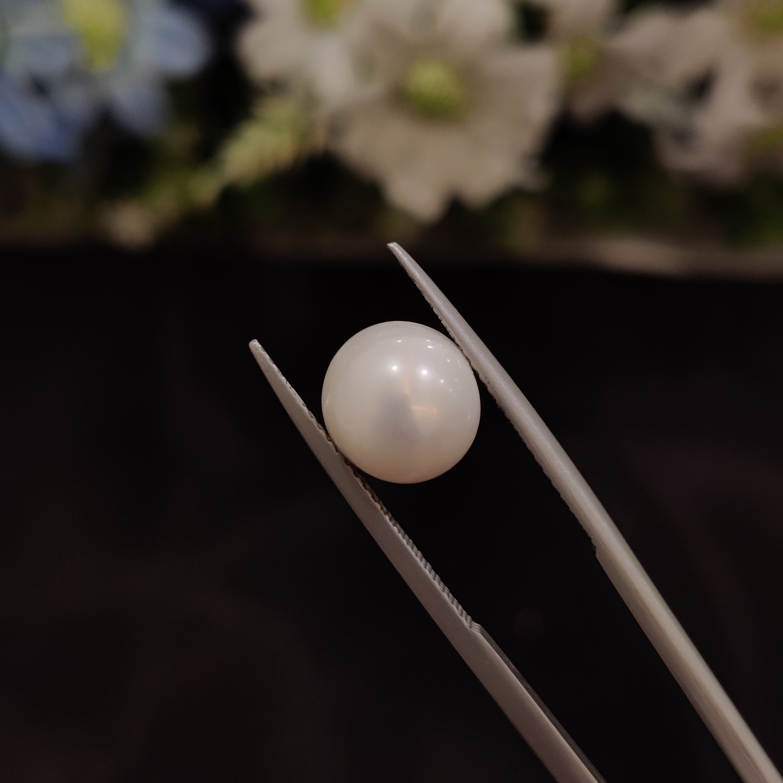 Pearl | Pearl 187 | 6.24 Carat