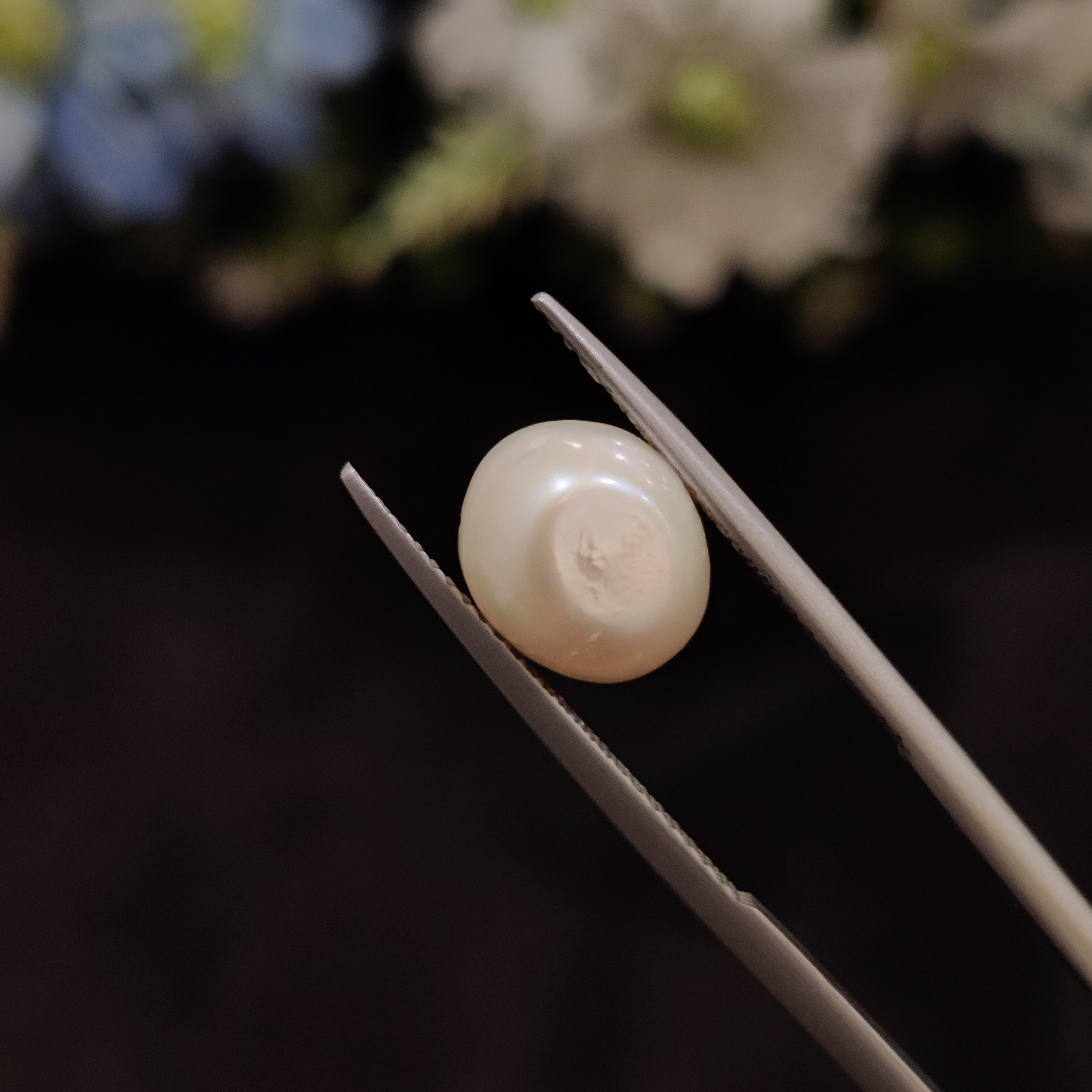 Pearl | Pearl 147 | 4.89 Carat