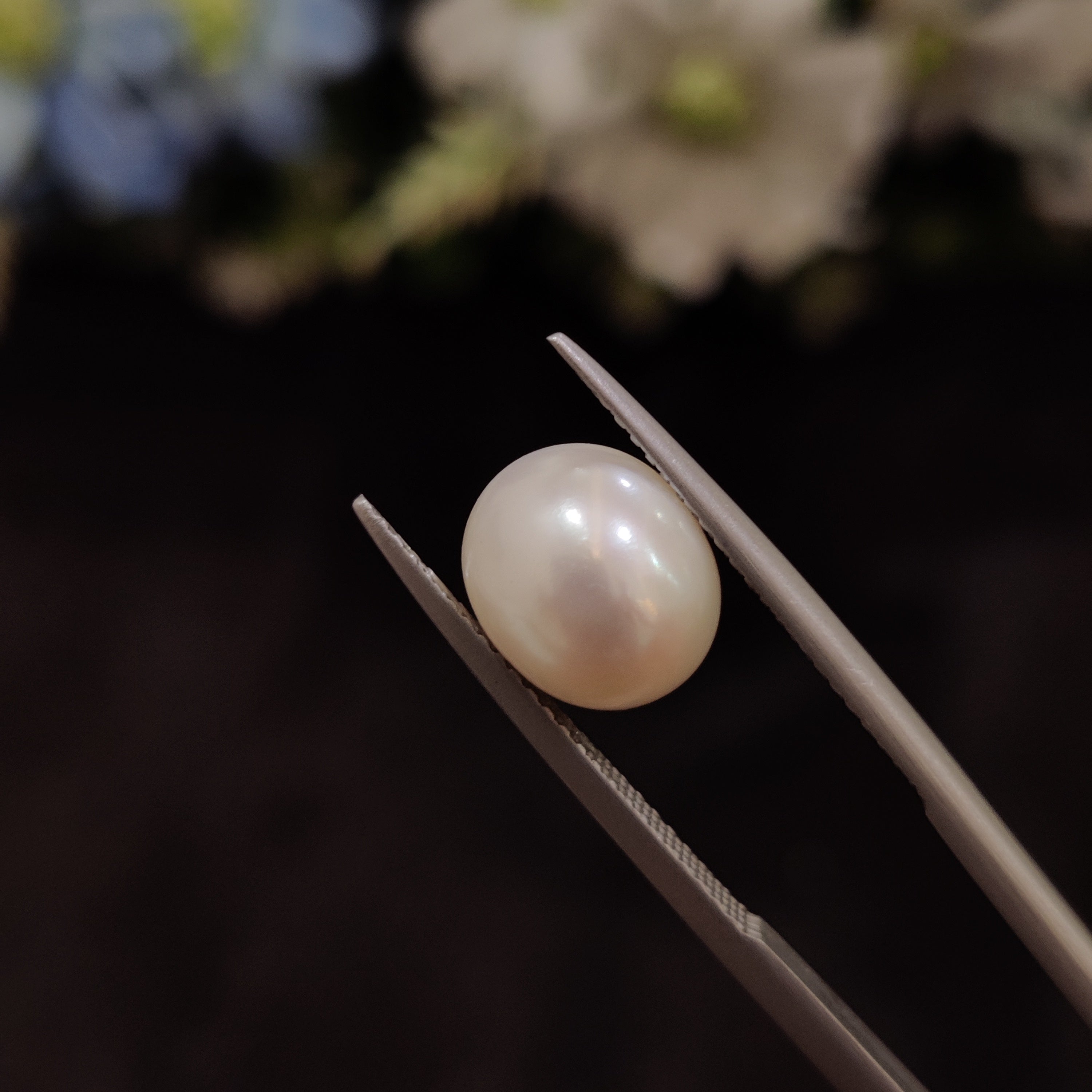Pearl | Pearl 142 | 4.93 Carat