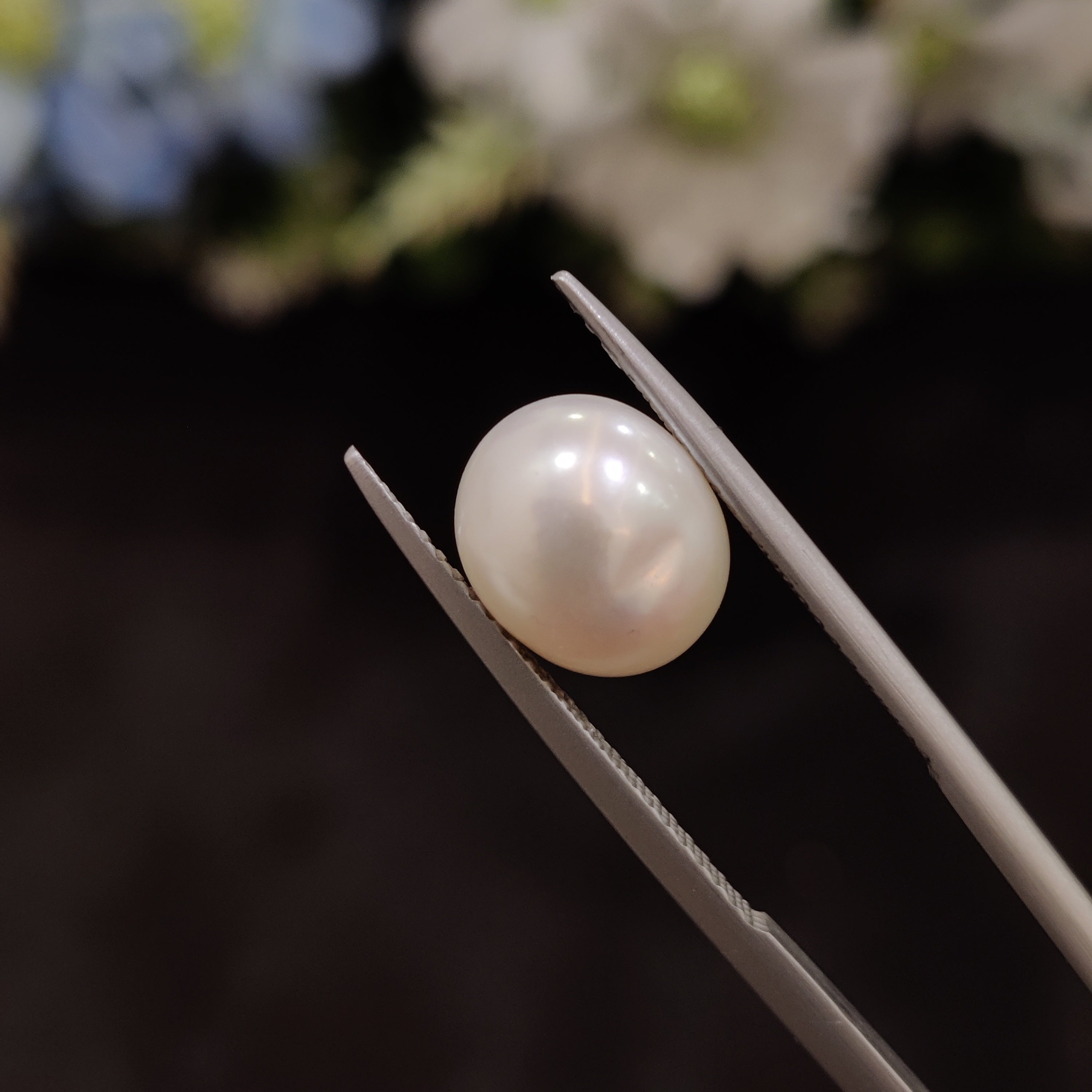Pearl | Pearl 142 | 4.93 Carat