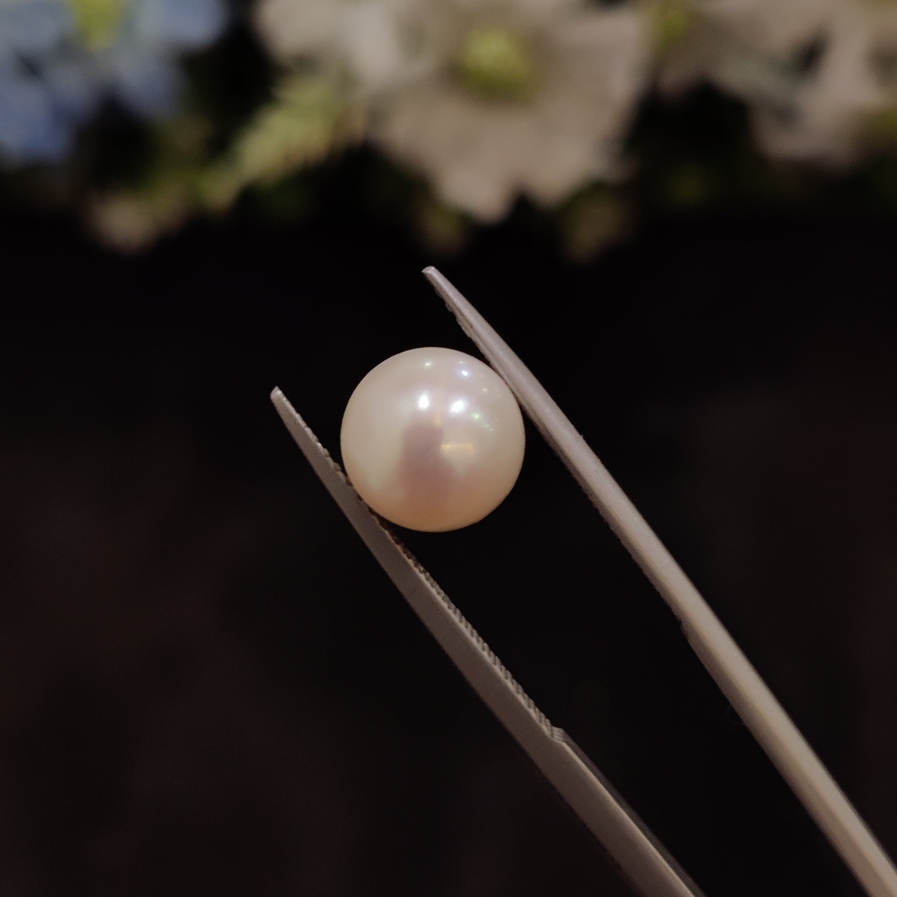 Pearl | Pearl 183 | 5.36 Carat