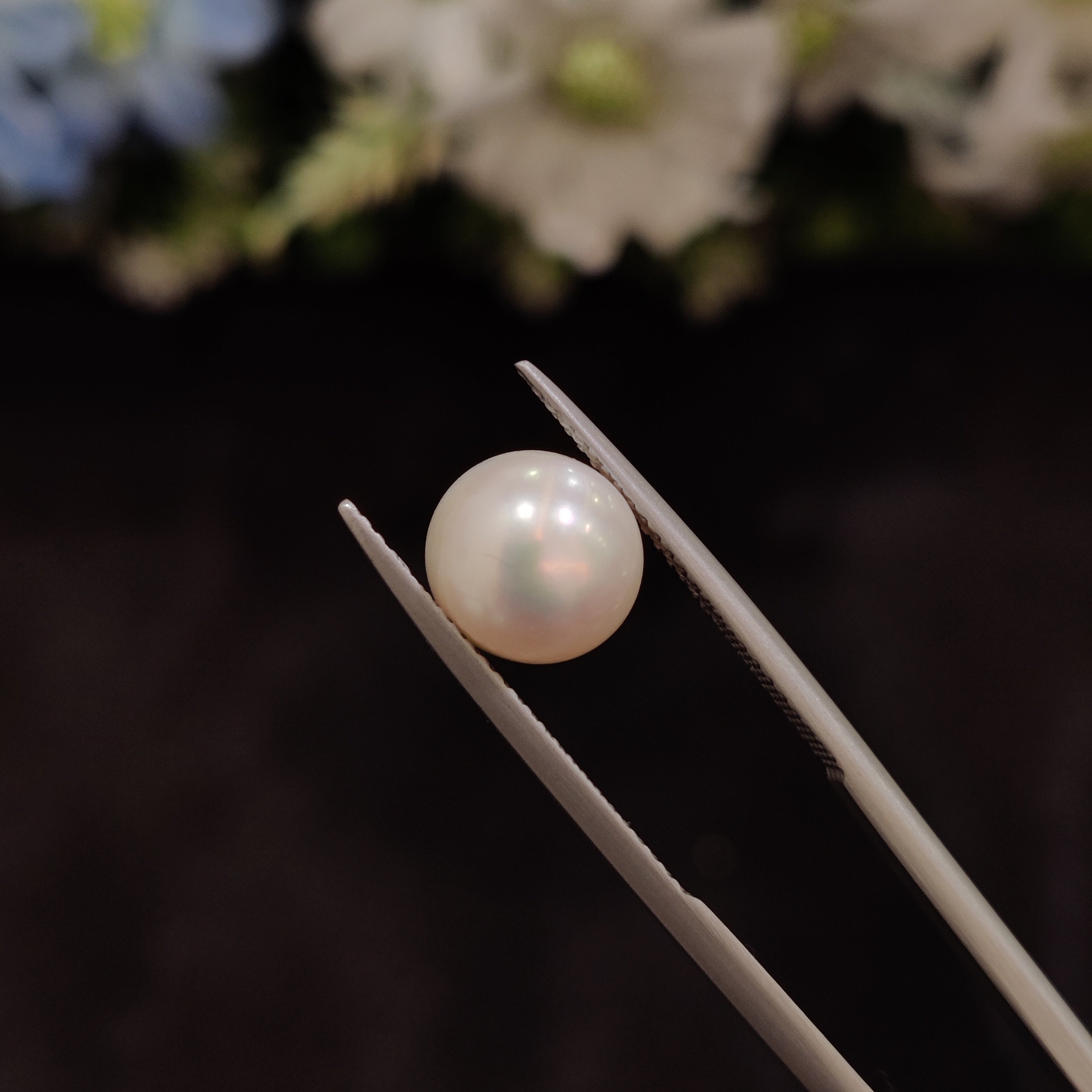 Pearl | Pearl 183 | 5.36 Carat