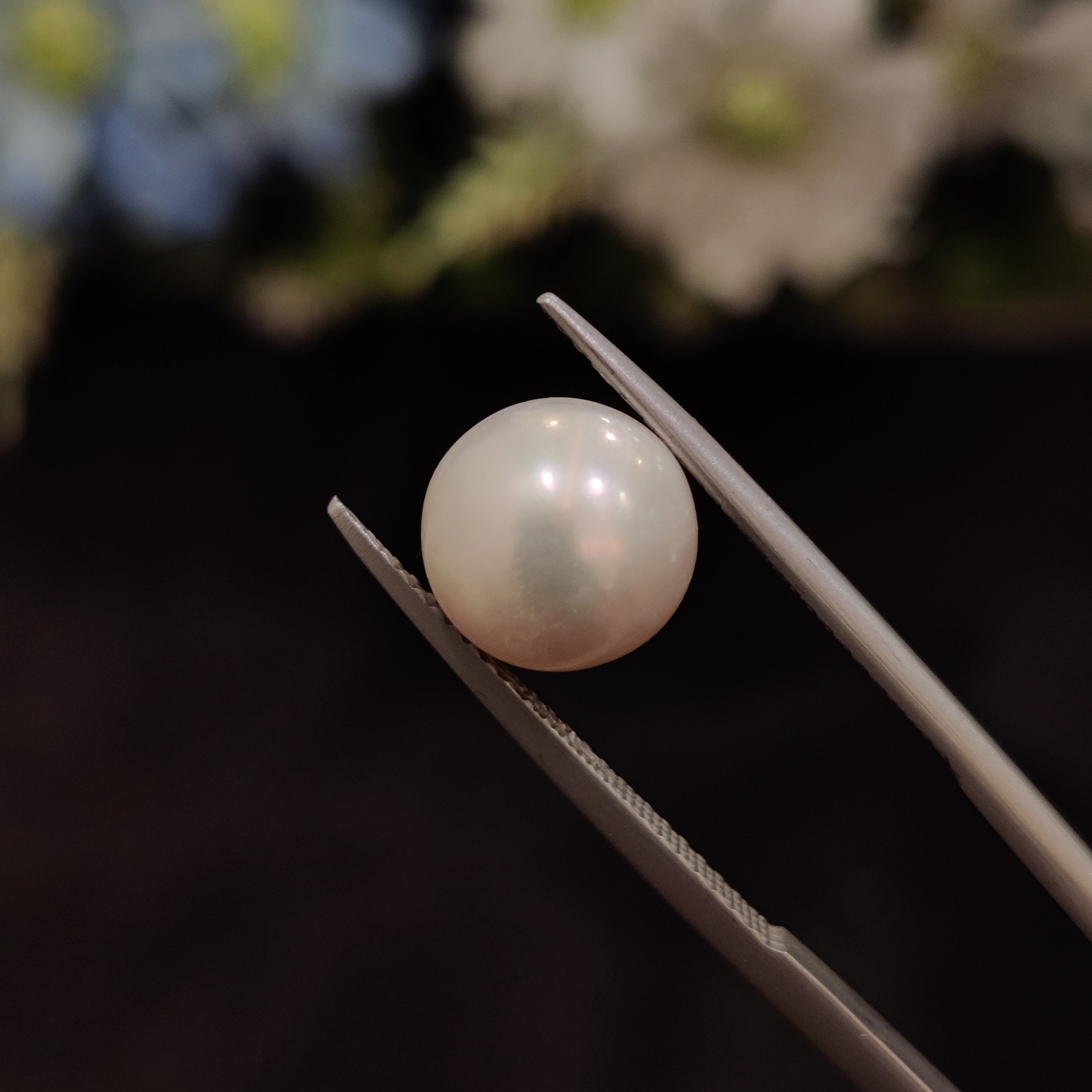 Pearl | Pearl 136 | 6.2 Carat