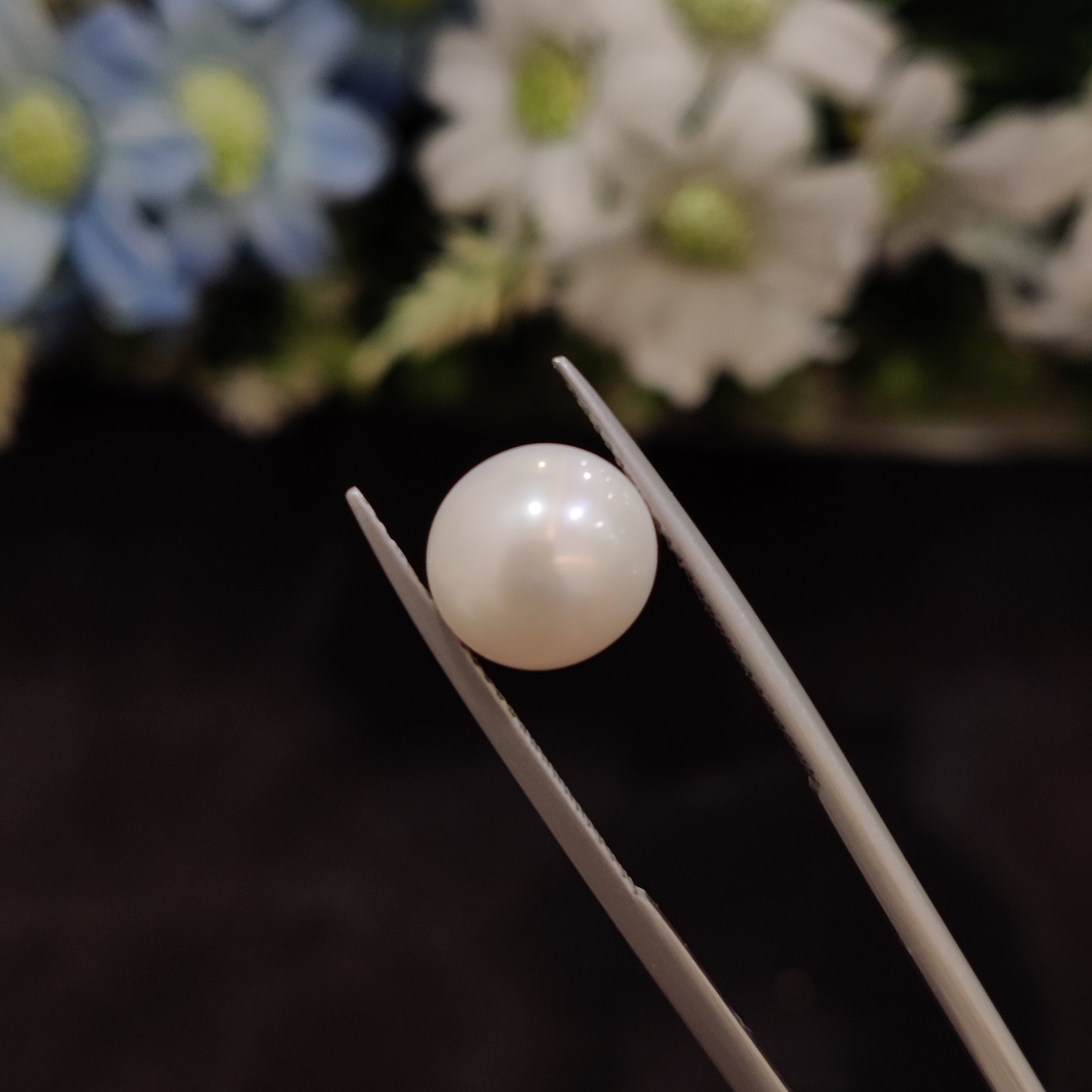 Pearl | Pearl 129 | 5.52 Carat