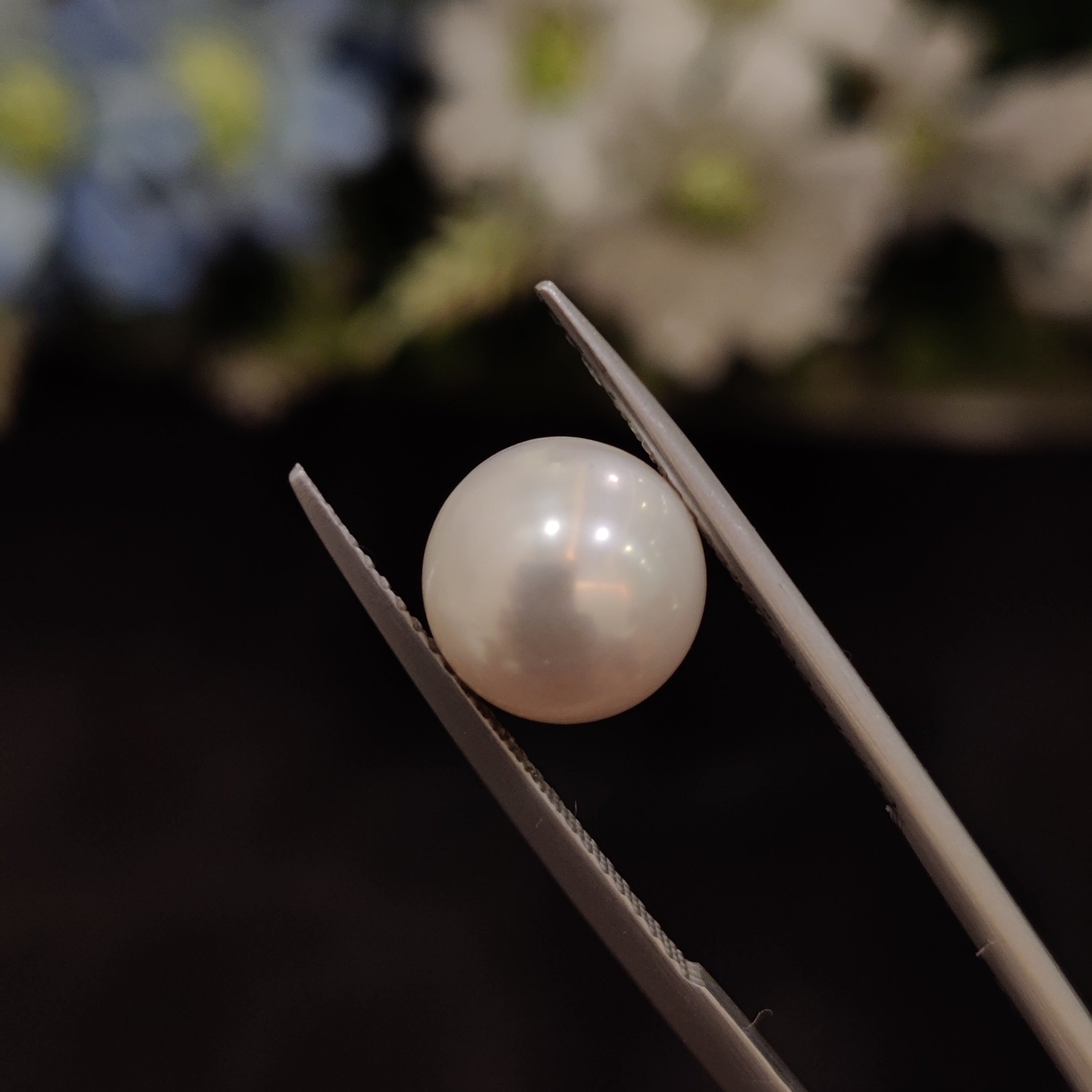 Pearl | Pearl 182 | 5.88 Carat