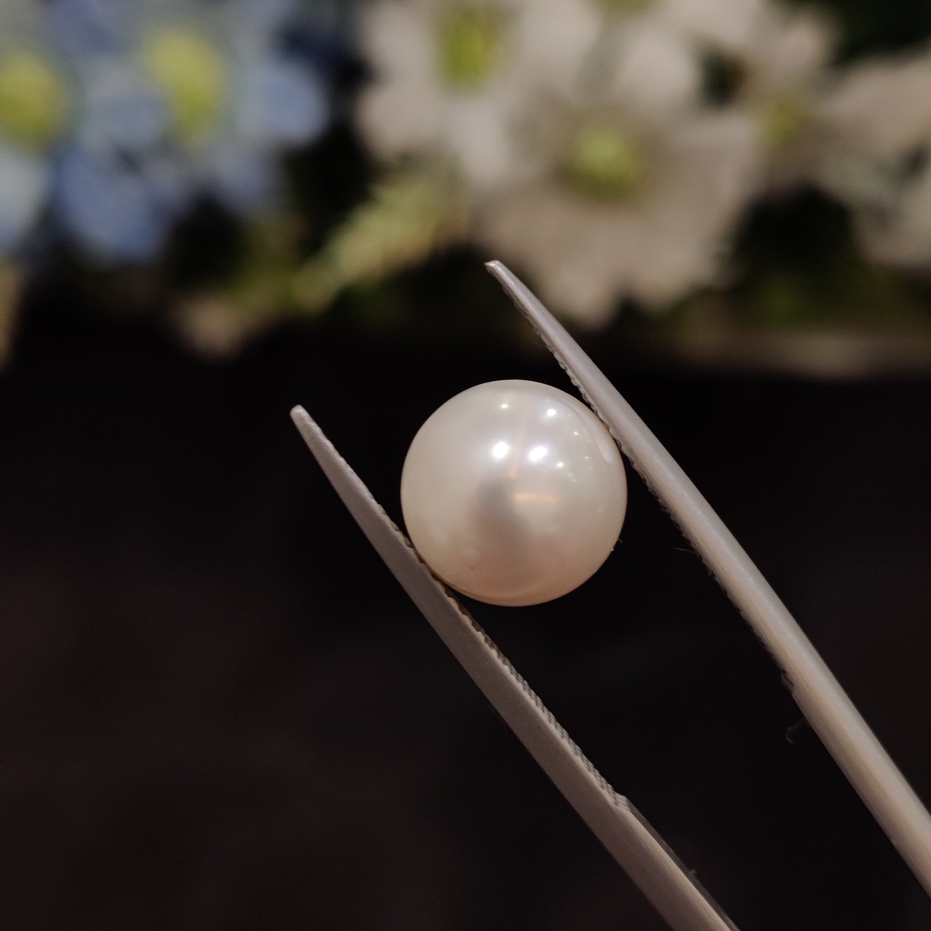 Pearl | Pearl 182 | 5.88 Carat