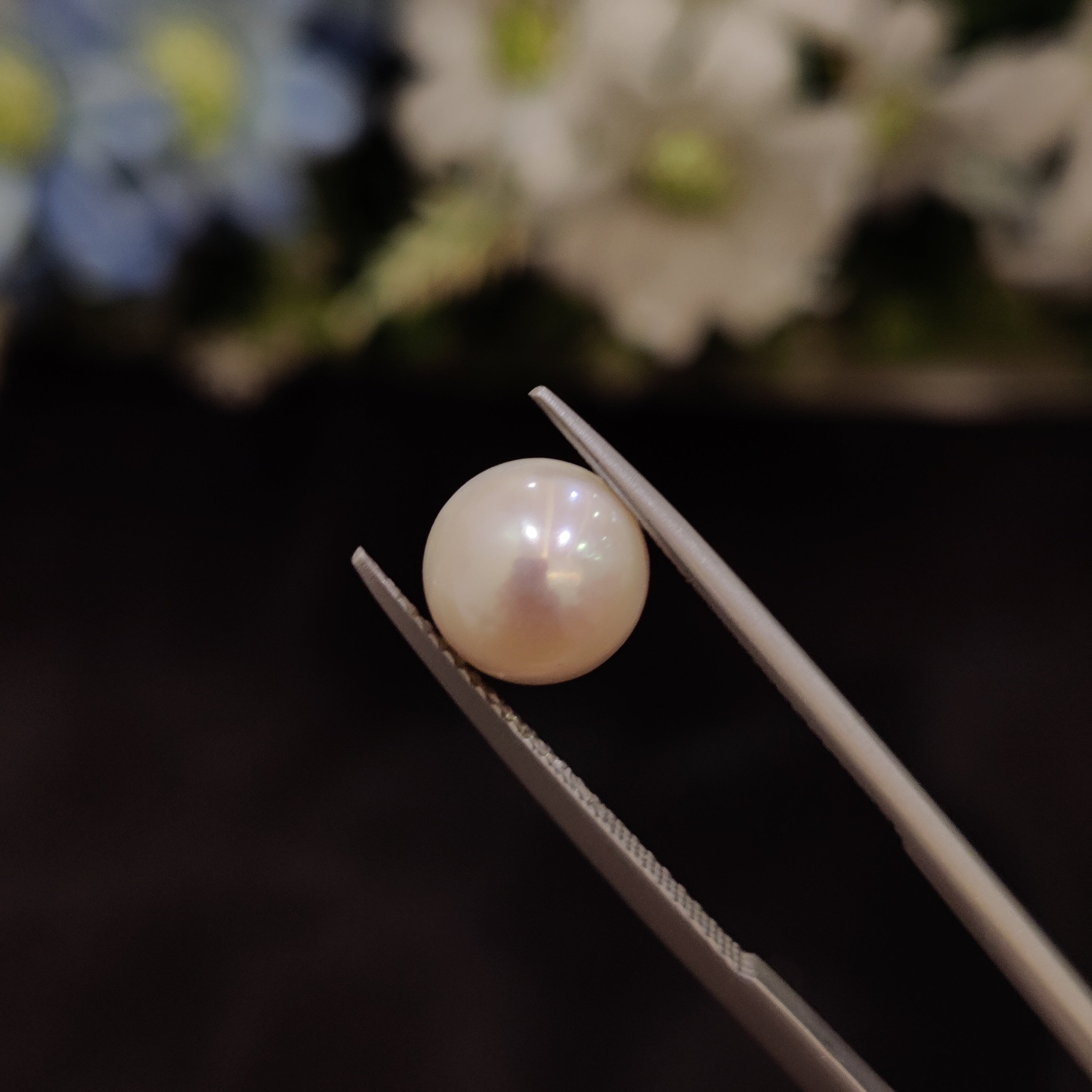 Pearl | Pearl 166 | 4.34 Carat