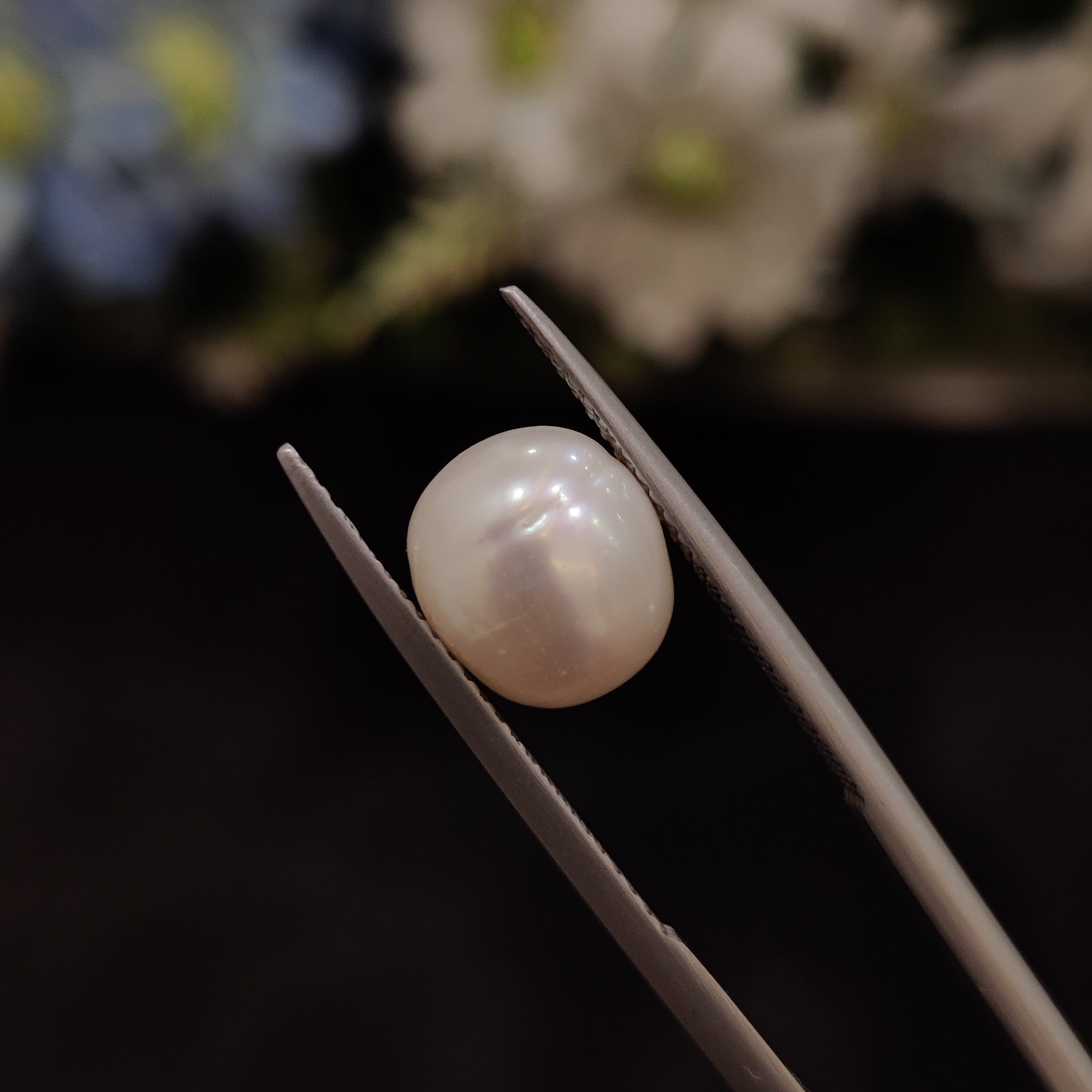 Pearl | Pearl 201 | 5.1 Carat