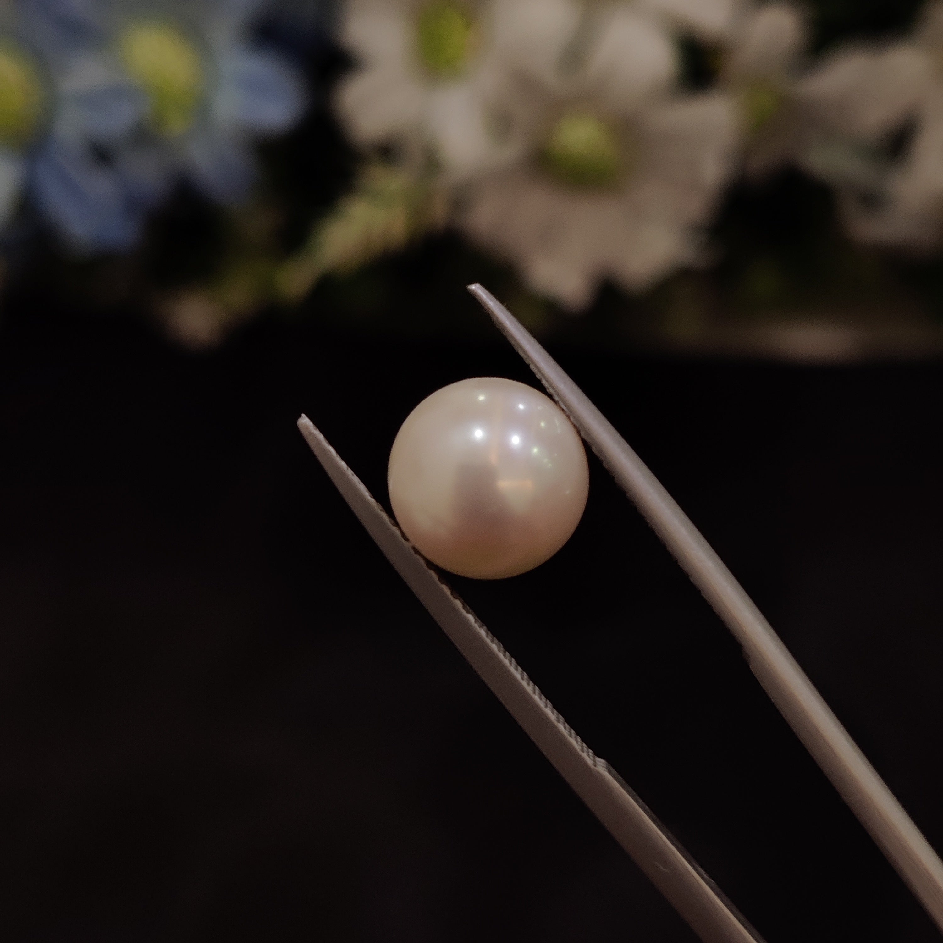 Pearl | Pearl 203 | 5.84 Carat