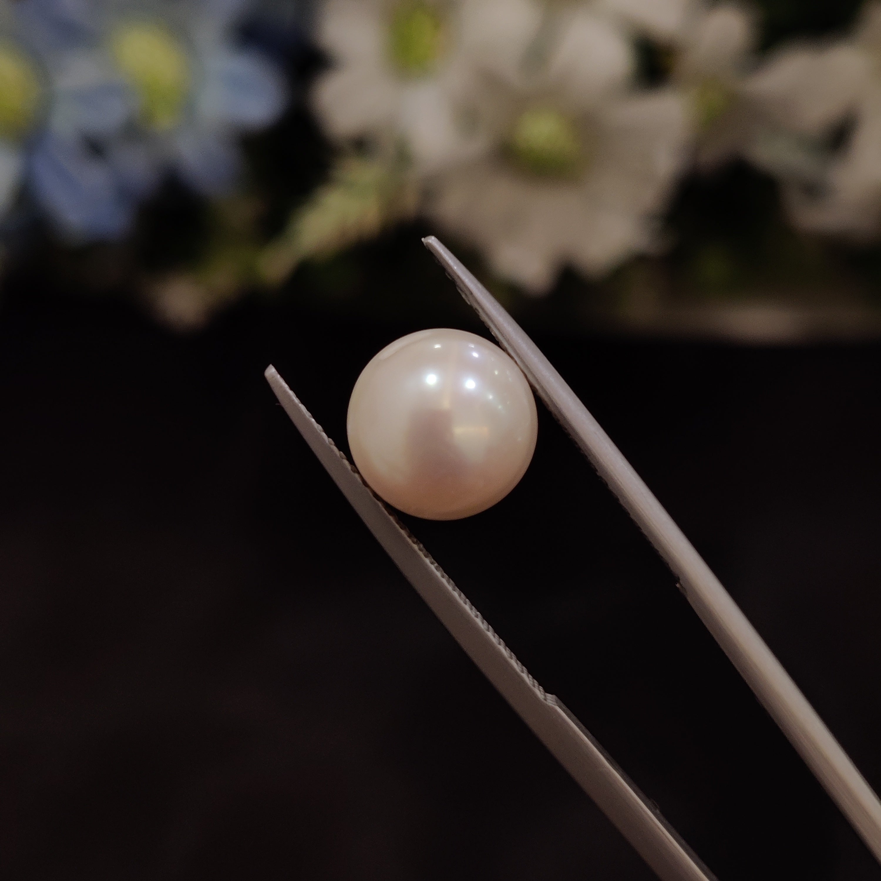 Pearl | Pearl 203 | 5.84 Carat