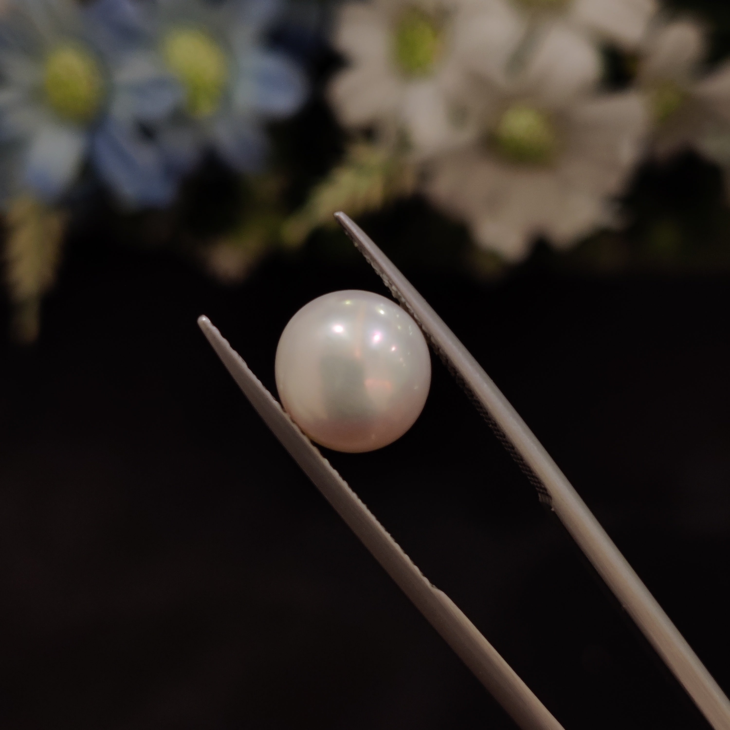 Pearl | Pearl 204 | 5.13 Carat