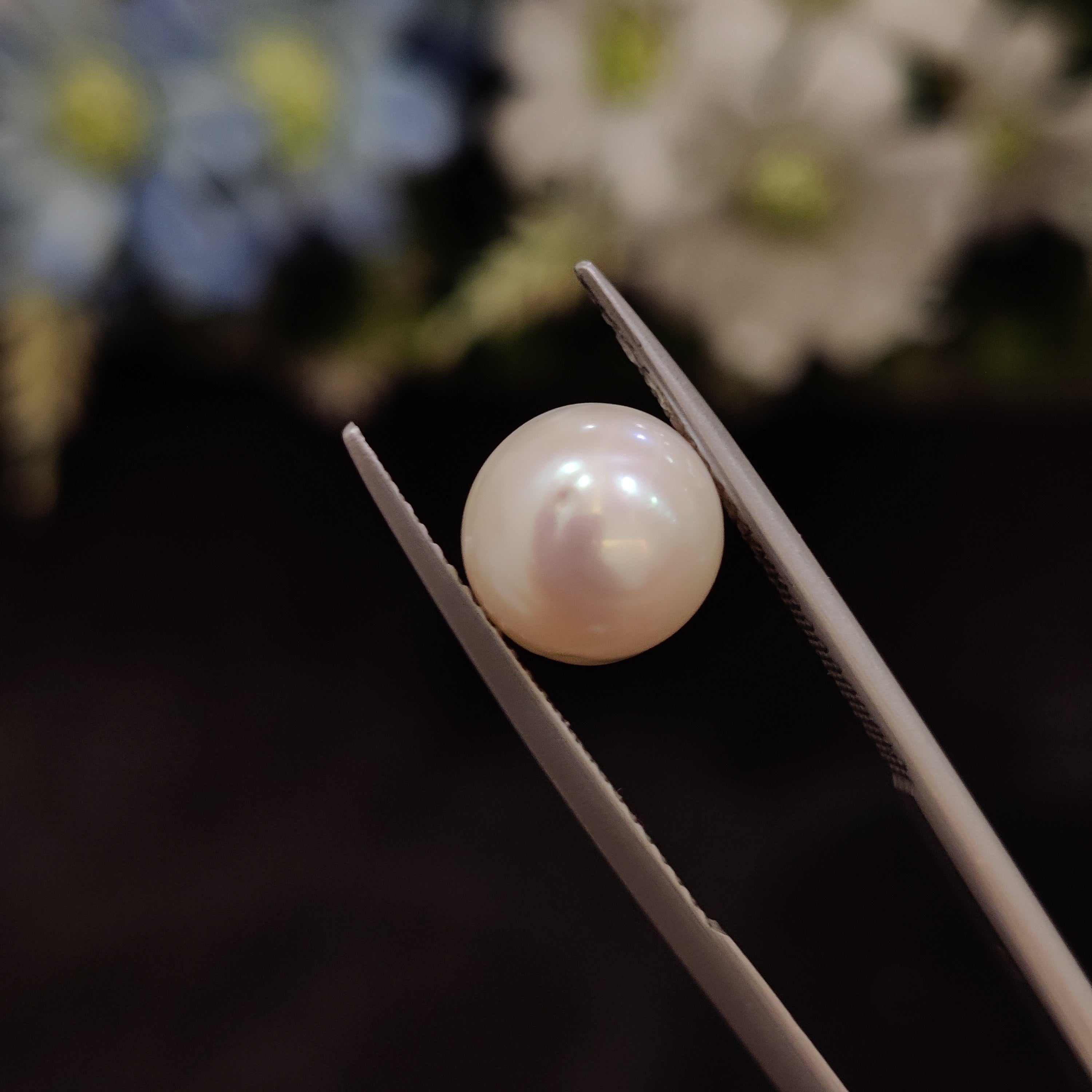 Pearl | Pearl 191 | 4.94 Carat